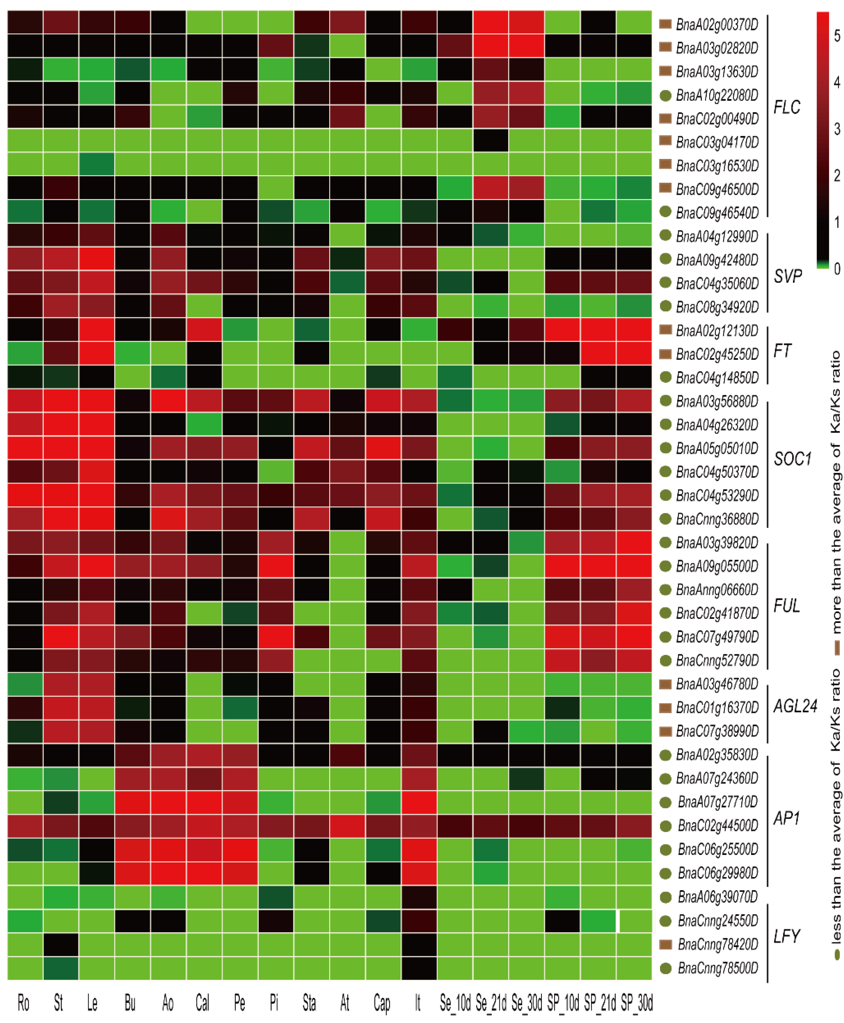 Ijms 19 03632 g007 Ijms 19 03632 g007
