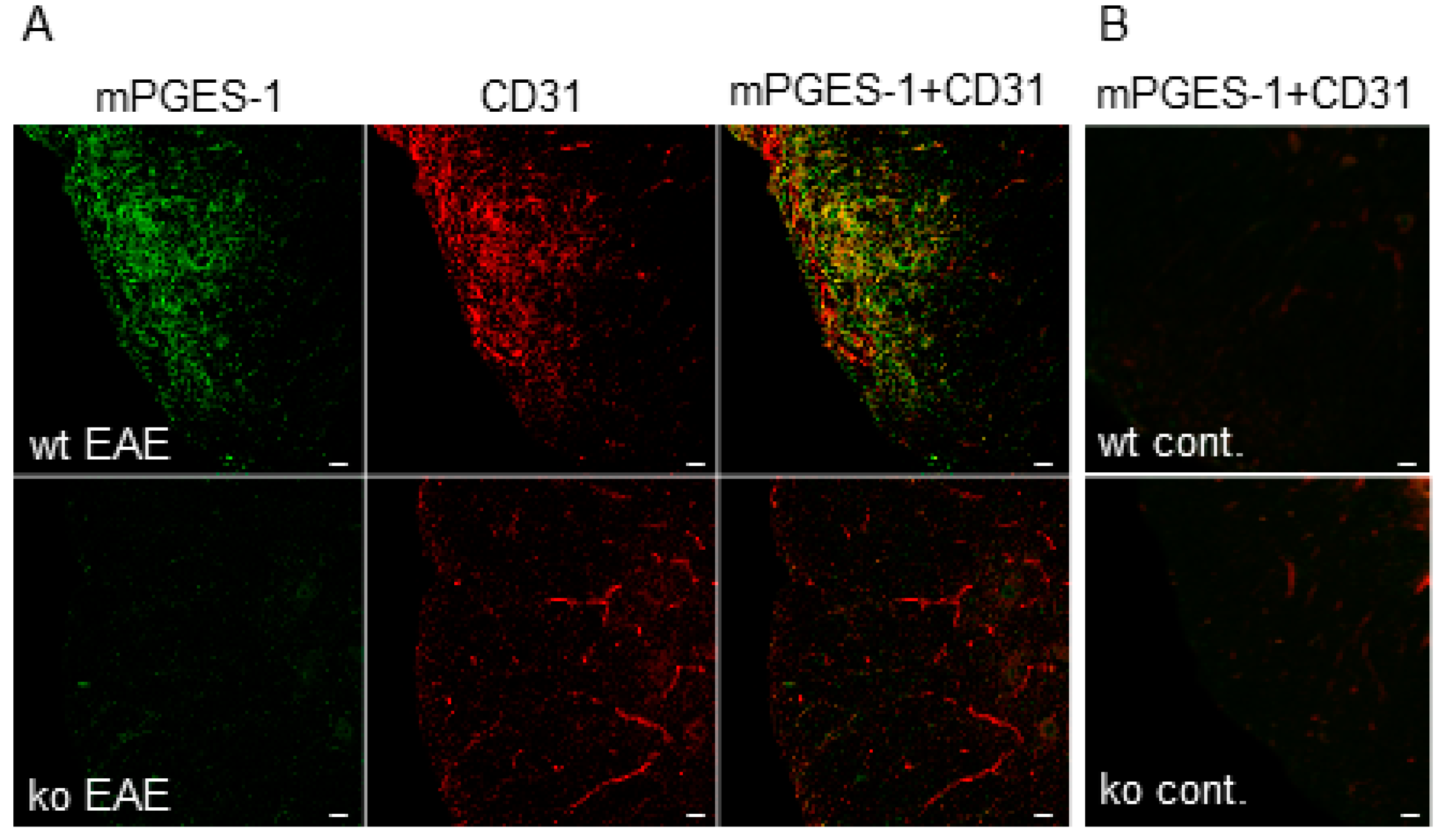 Ijms 19 03647 g001 Ijms 19 03647 g001