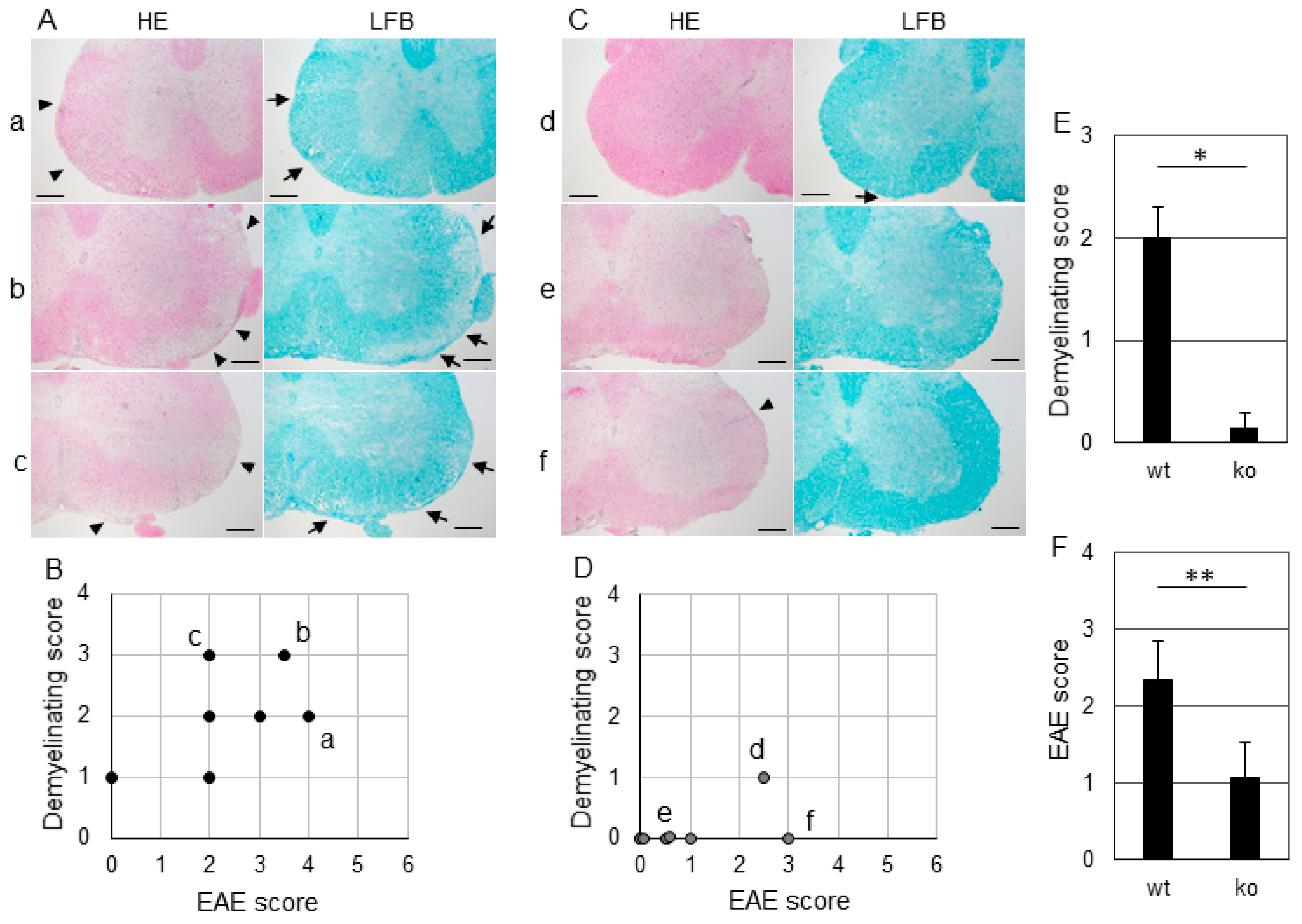 Ijms 19 03647 g002 Ijms 19 03647 g002