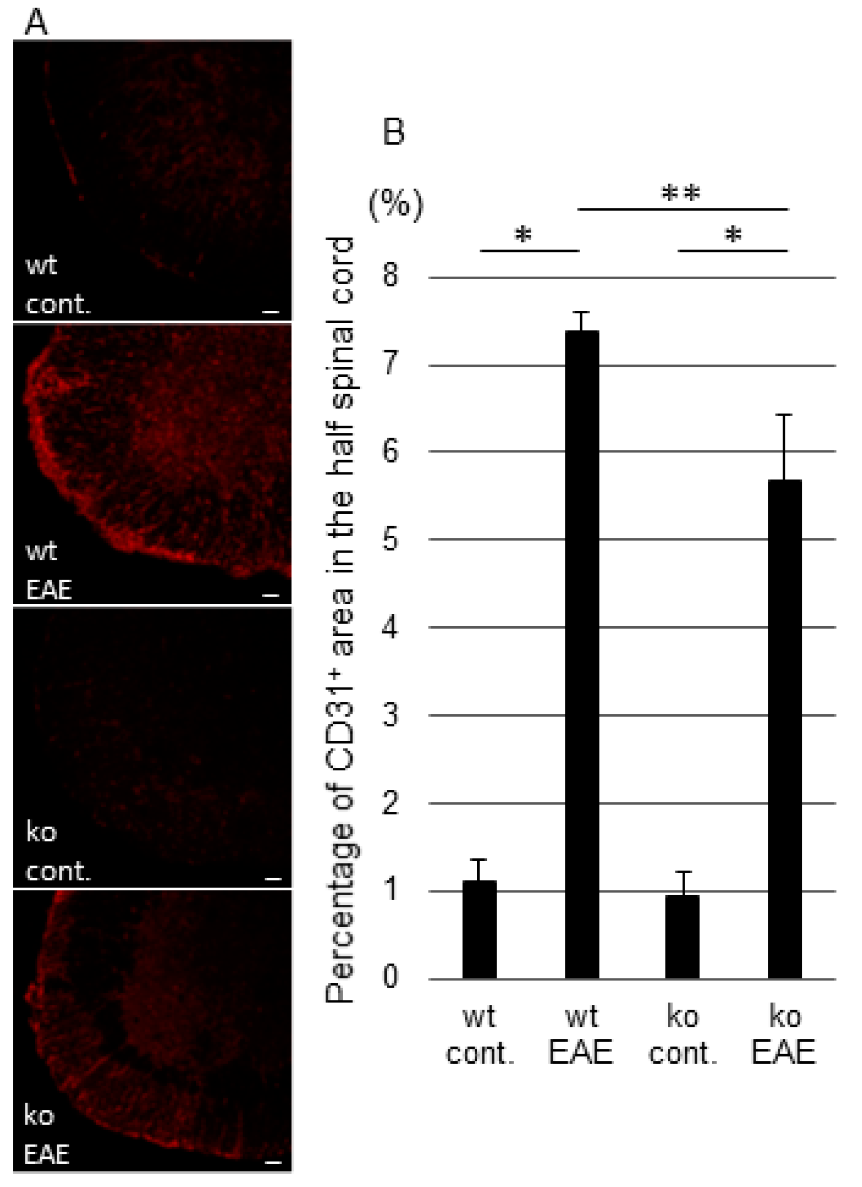 Ijms 19 03647 g003 Ijms 19 03647 g003