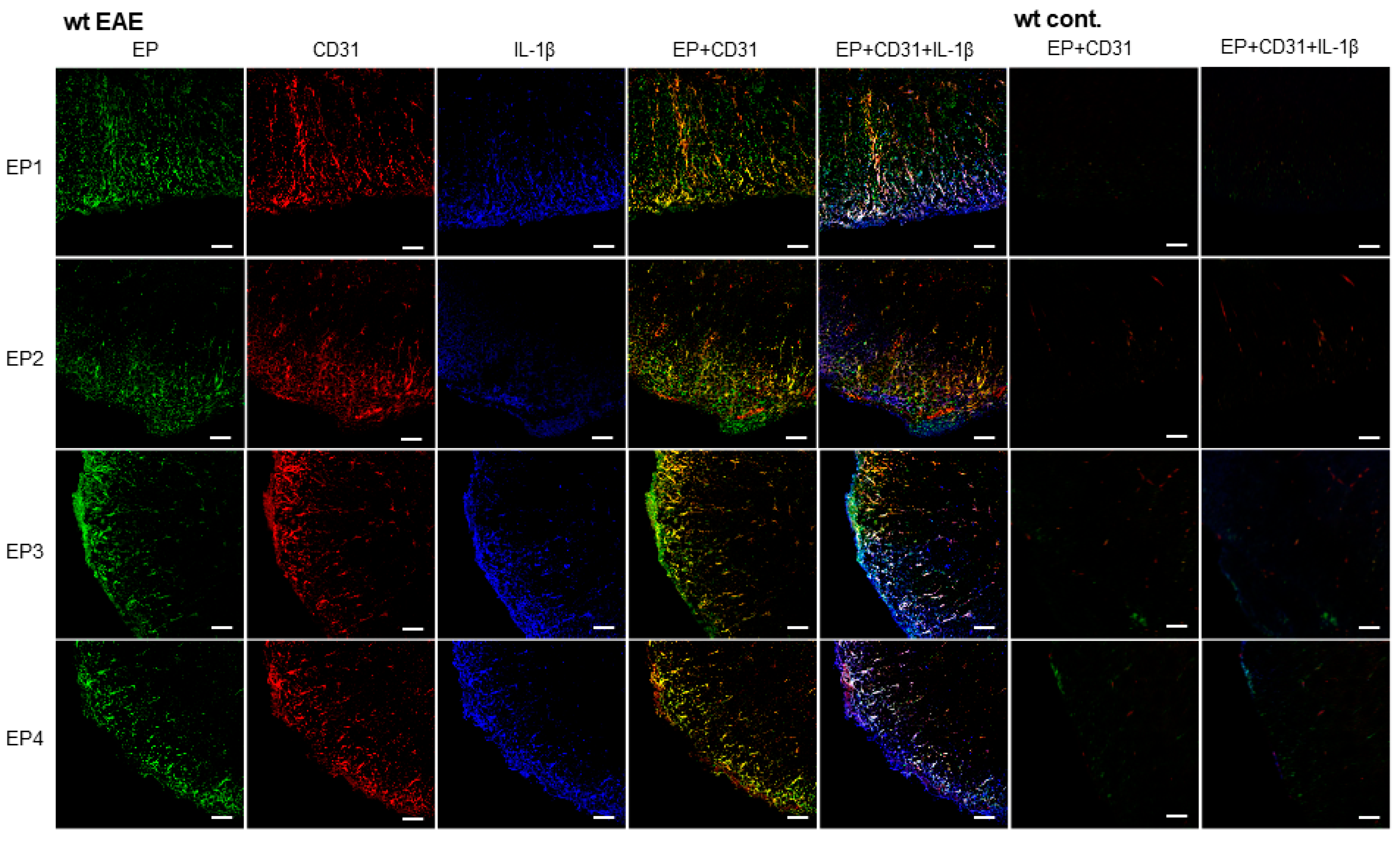 Ijms 19 03647 g005 Ijms 19 03647 g005