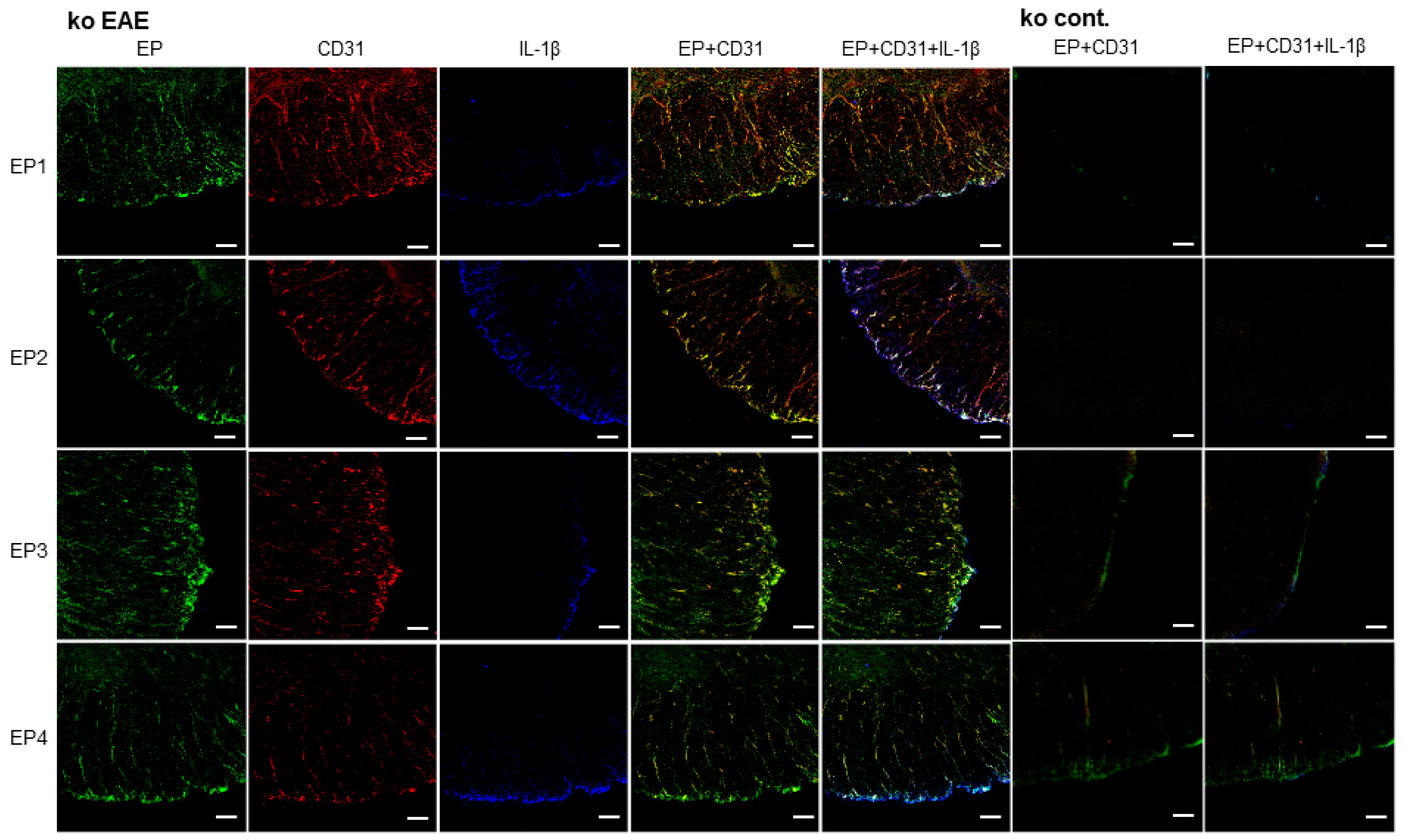 Ijms 19 03647 g006 Ijms 19 03647 g006