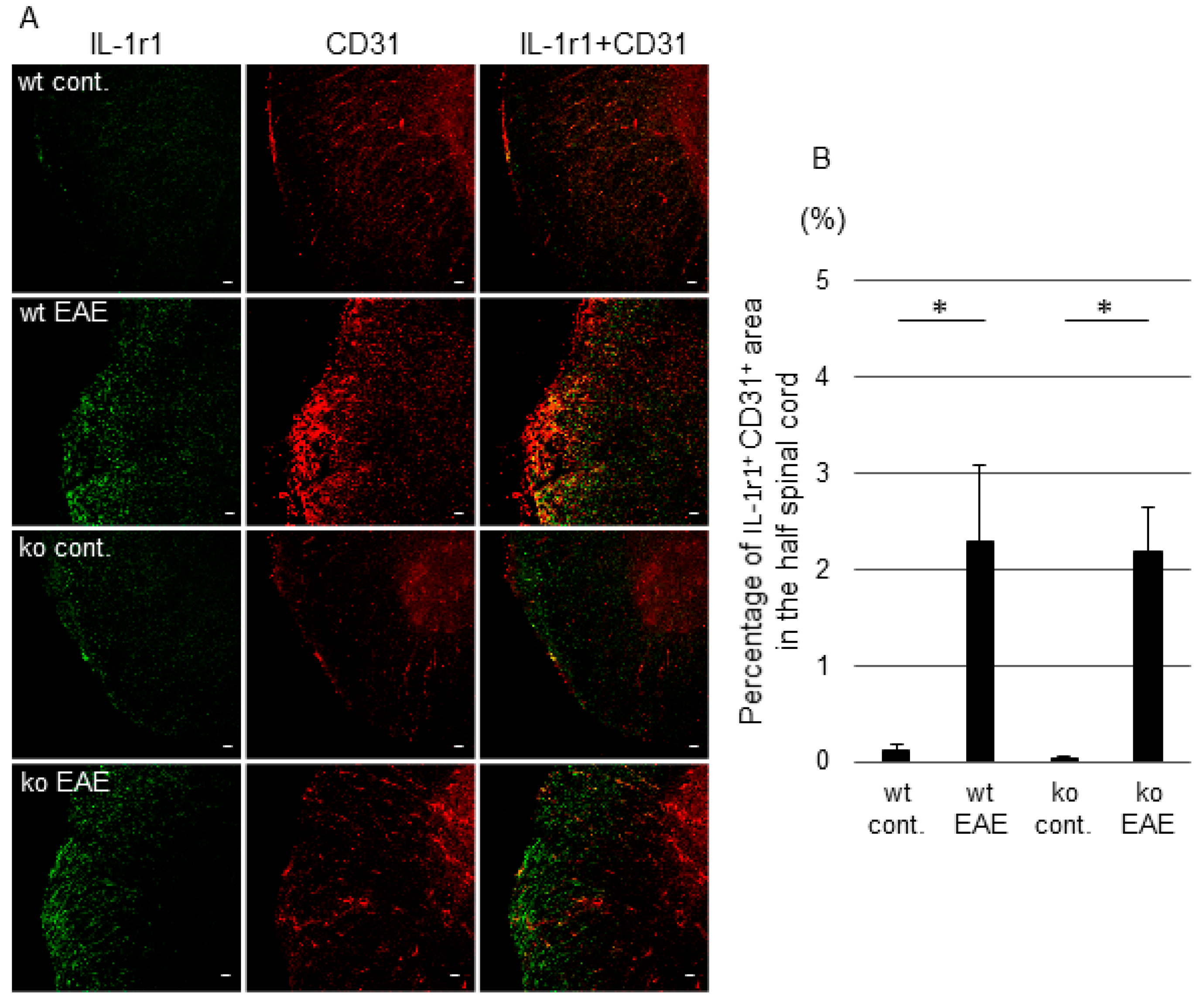 Ijms 19 03647 g007 Ijms 19 03647 g007