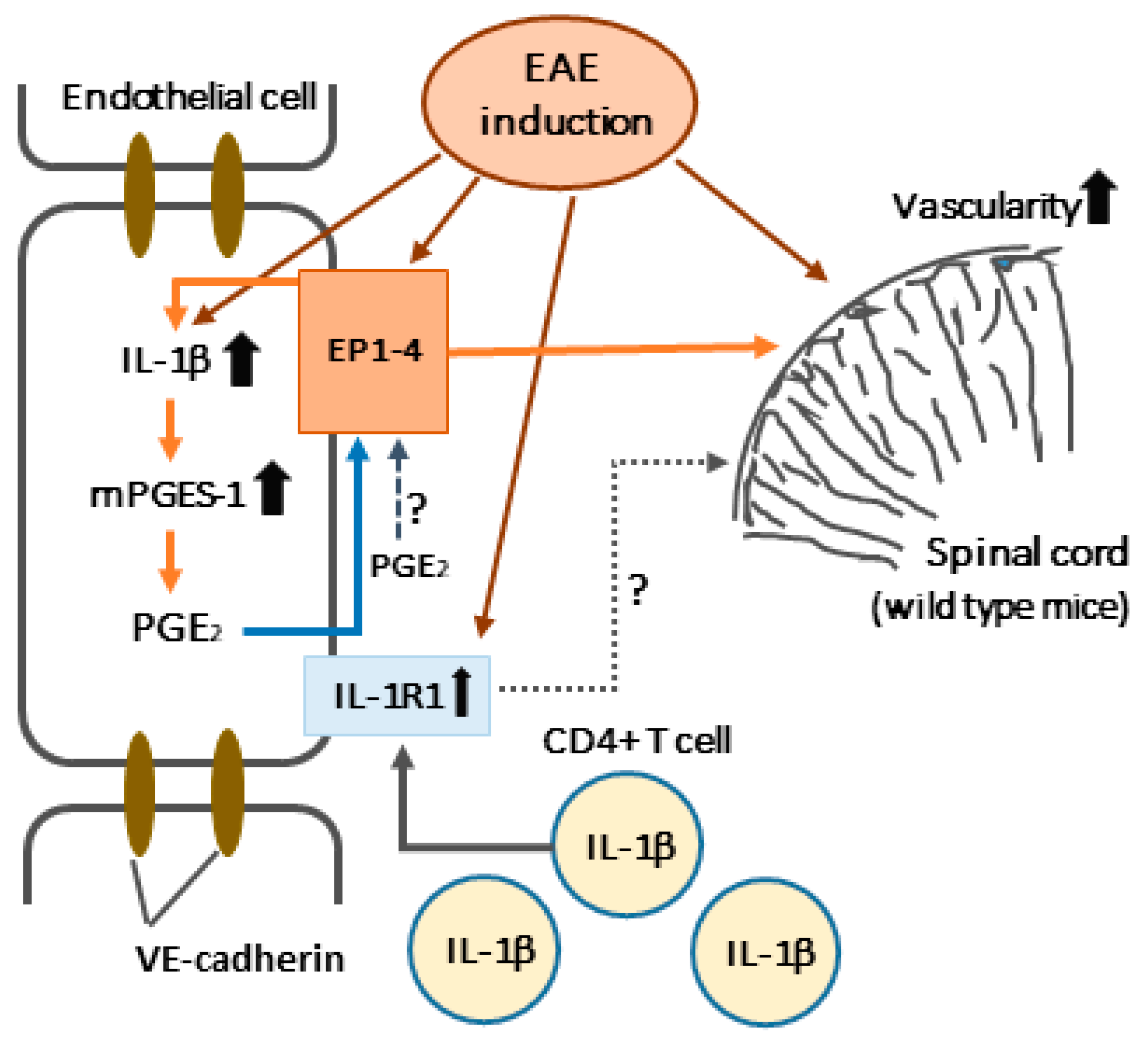 Ijms 19 03647 sch001 Ijms 19 03647 sch001