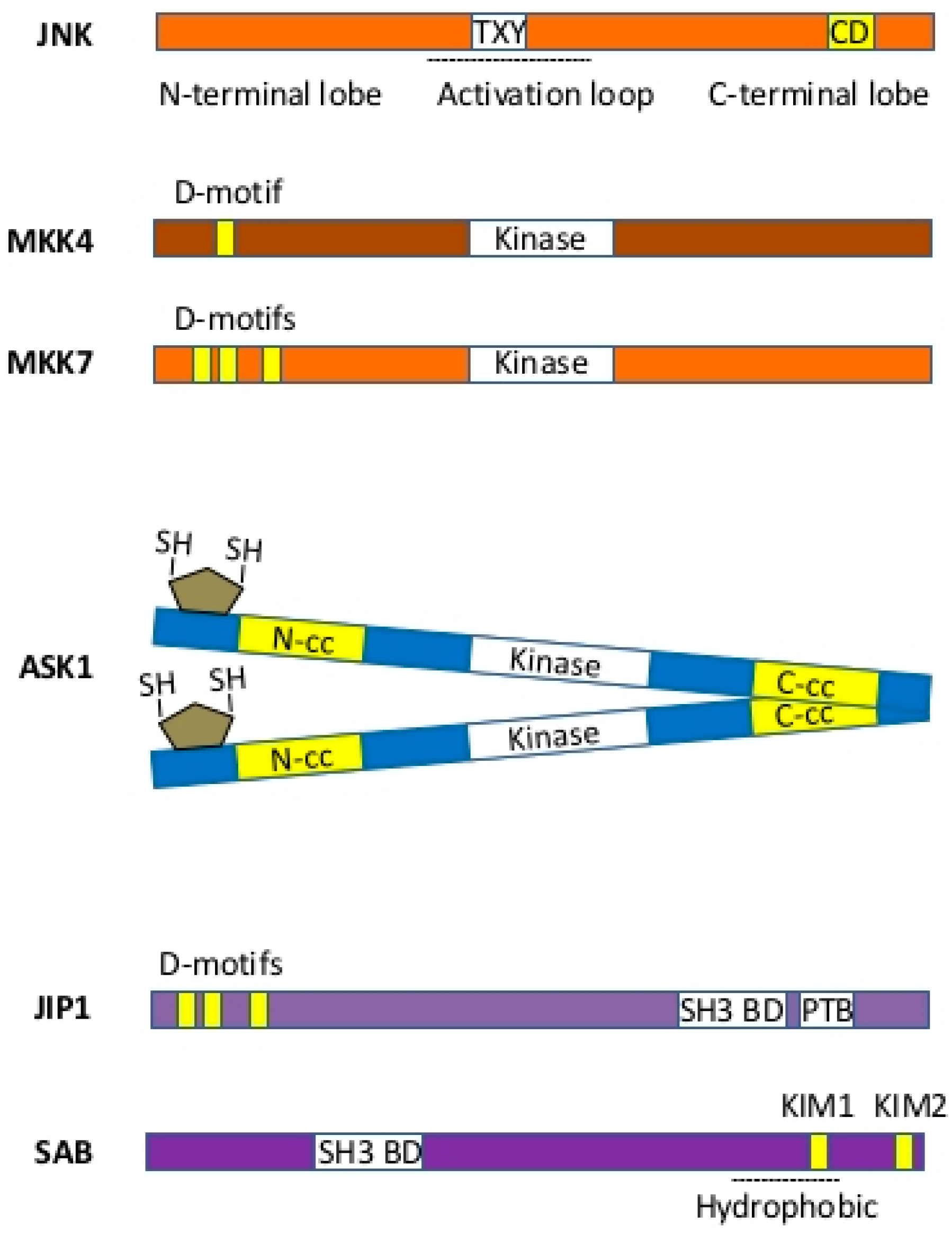 Ijms 19 03657 g003 Ijms 19 03657 g003