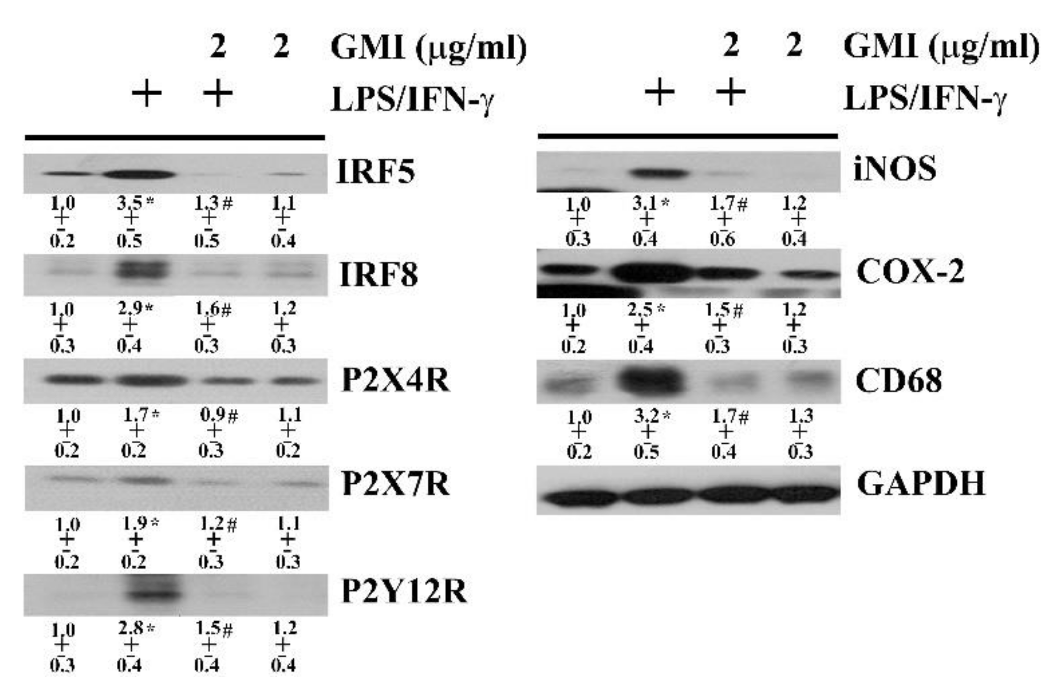 Ijms 19 03678 g007