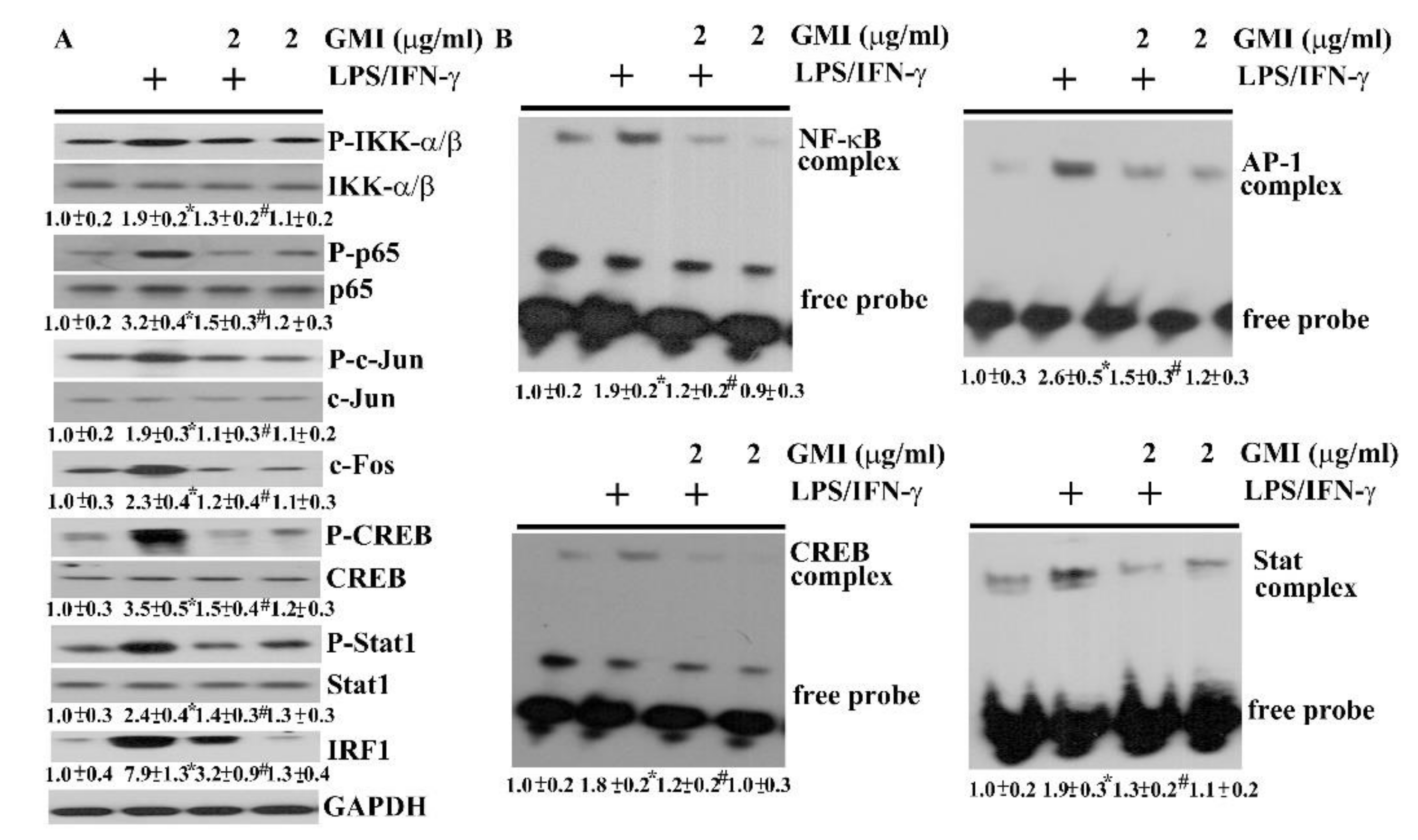 Ijms 19 03678 g008