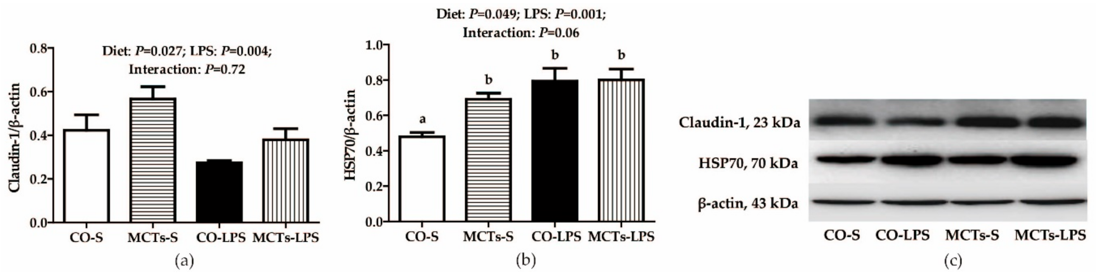 Ijms 19 03697 g003