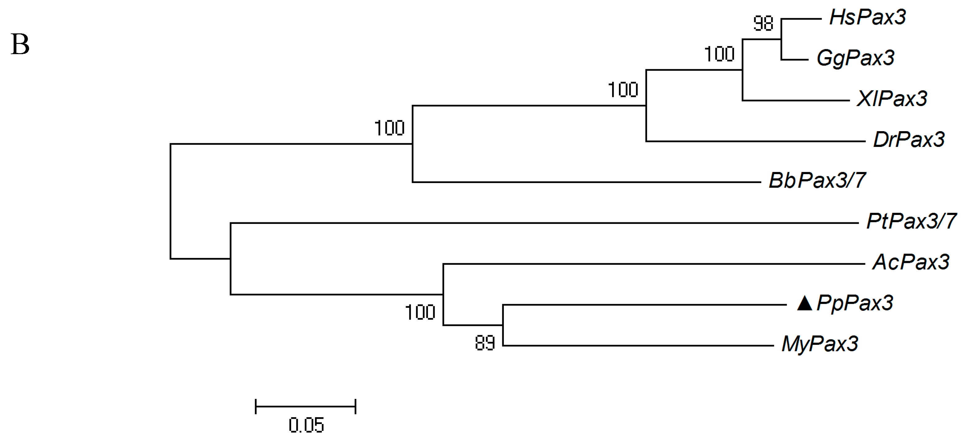Ijms 19 03700 g002b Ijms 19 03700 g002b