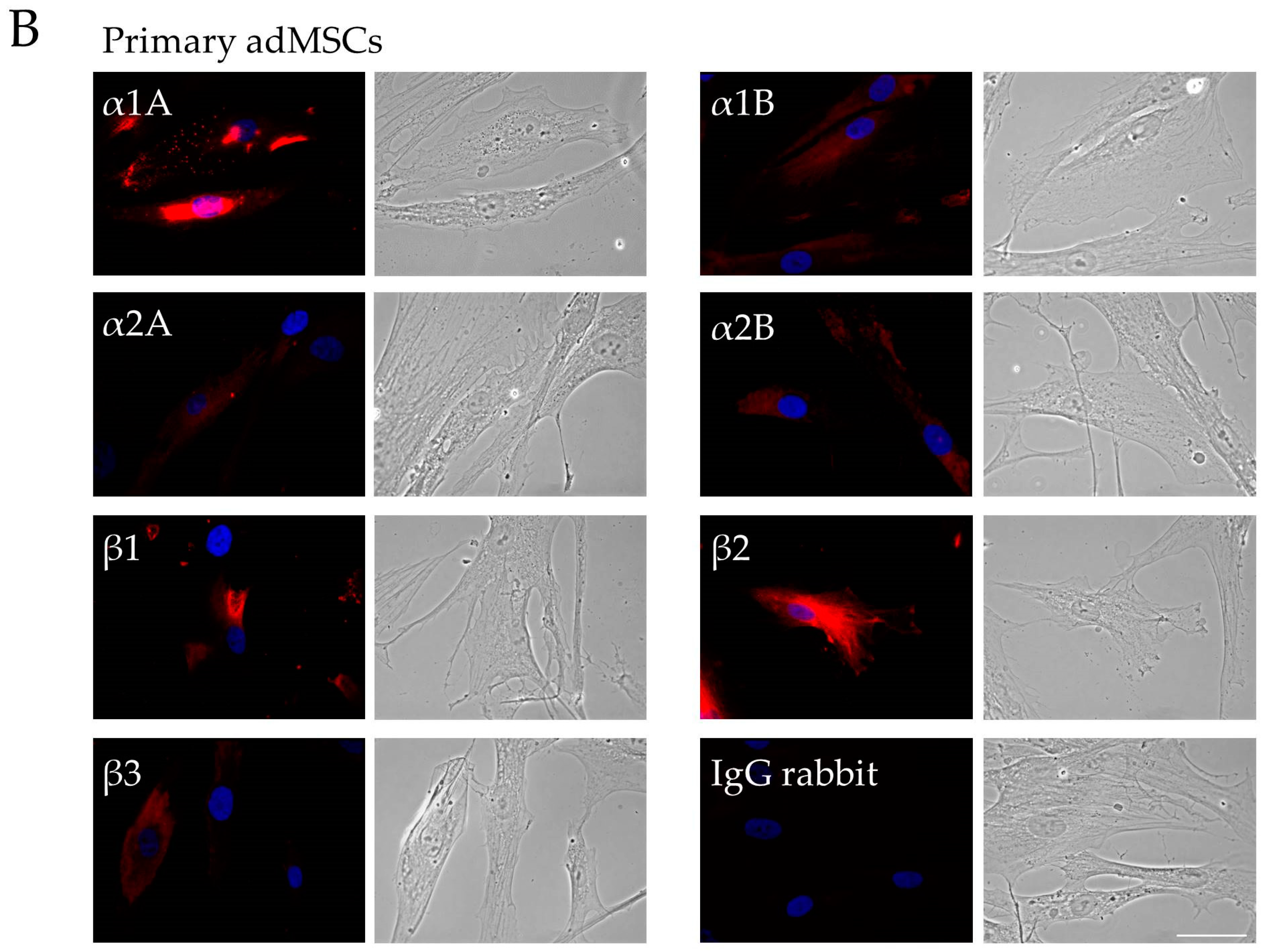Ijms 19 03712 g001b Ijms 19 03712 g001b
