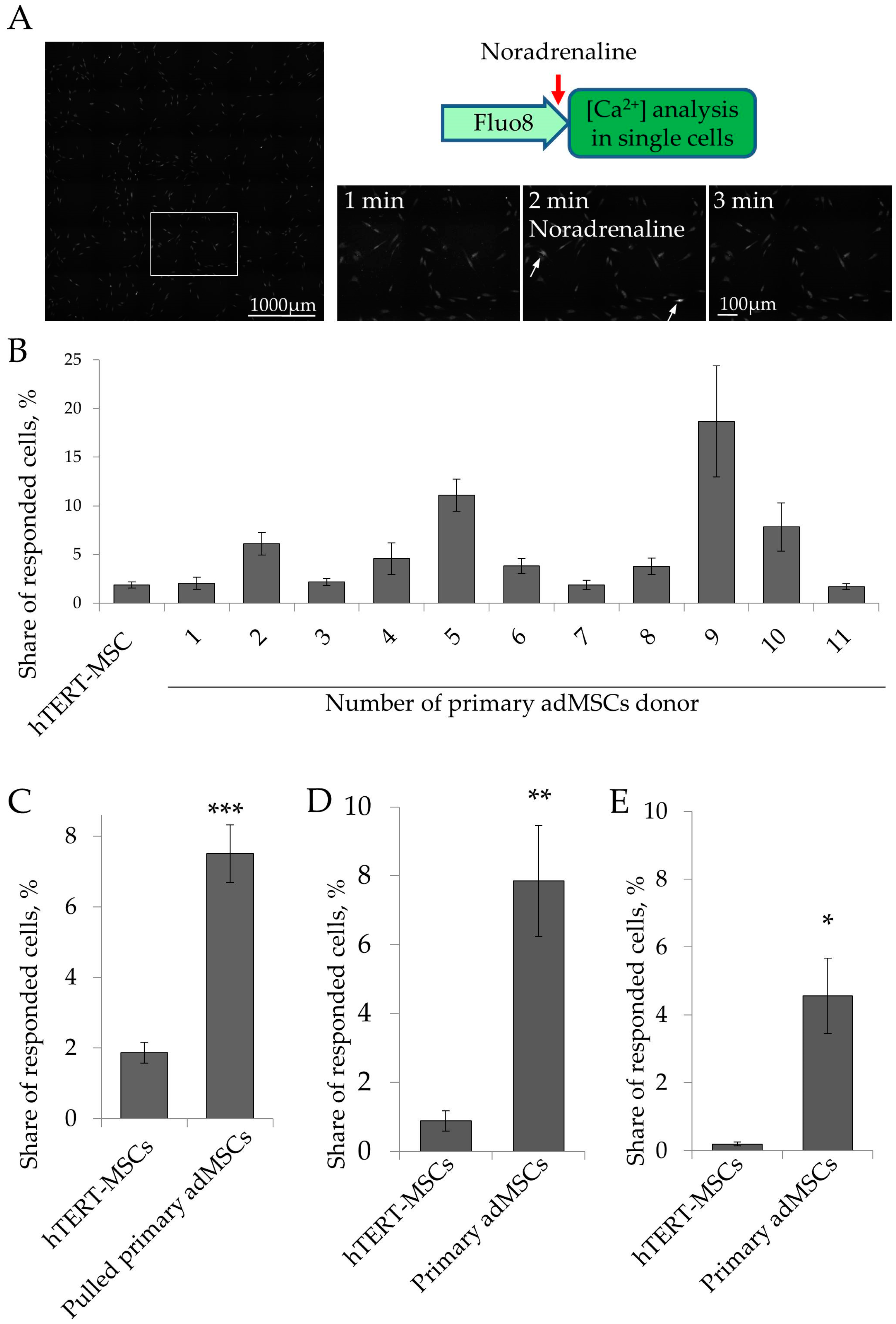 Ijms 19 03712 g003 Ijms 19 03712 g003