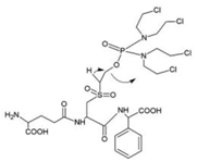 Ijms 19 03785 i004 Ijms 19 03785 i004