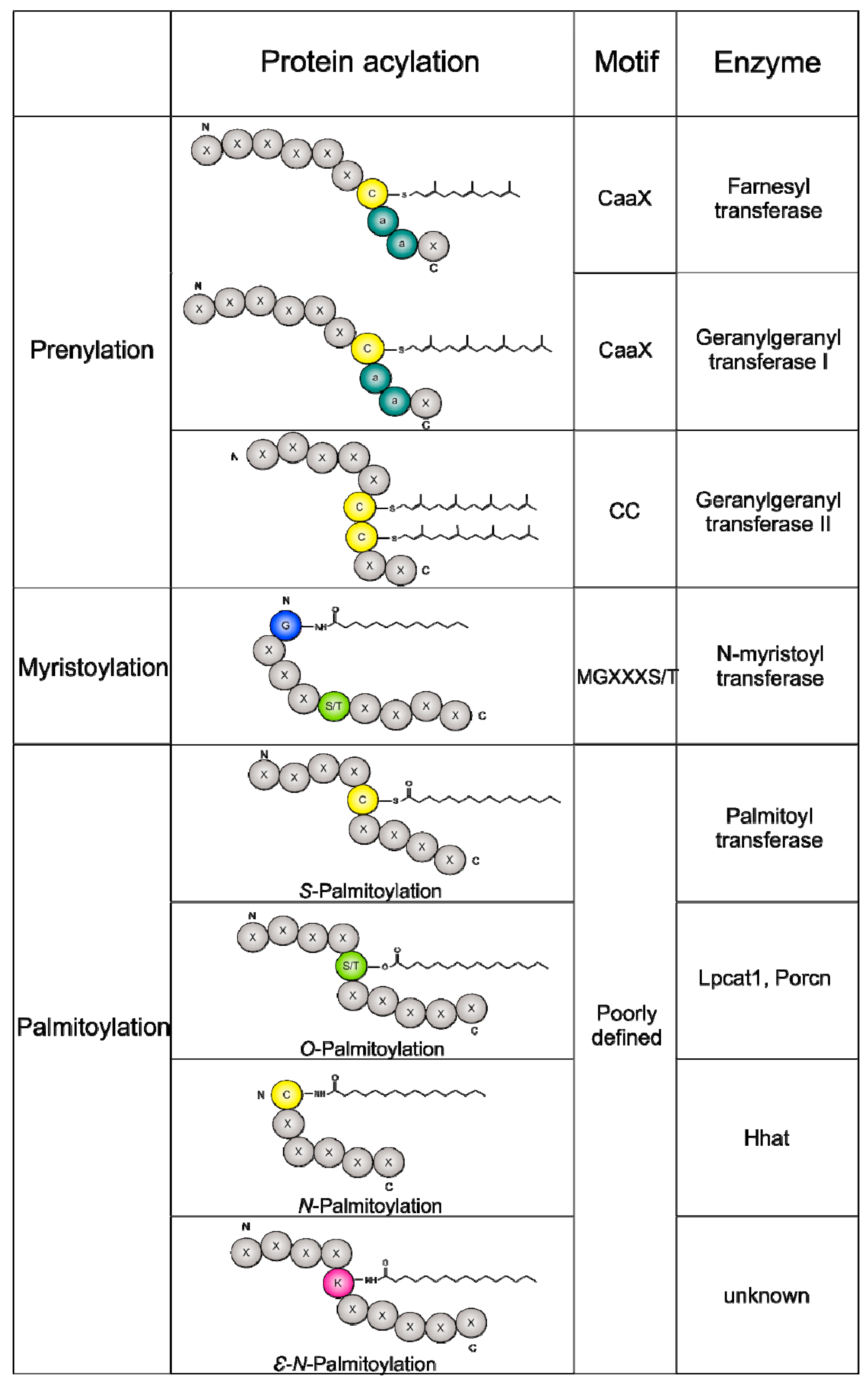 Ijms 19 03820 g001 Ijms 19 03820 g001
