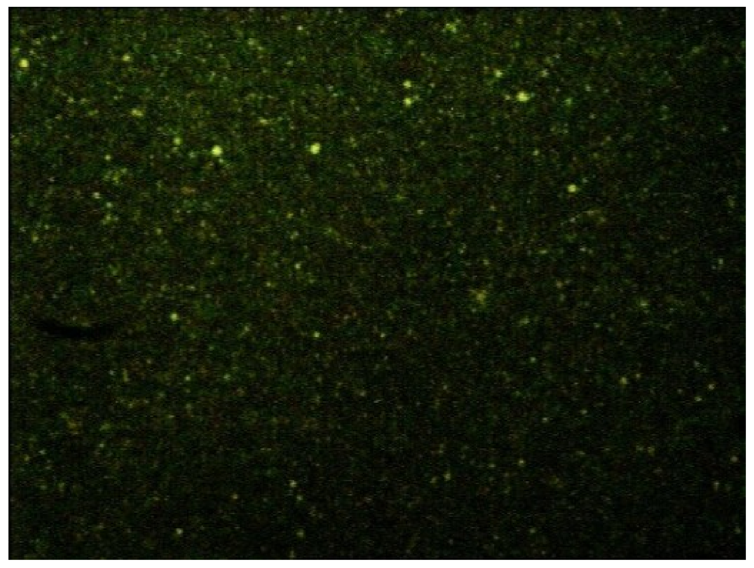 Ijms 19 03833 g003 Ijms 19 03833 g003