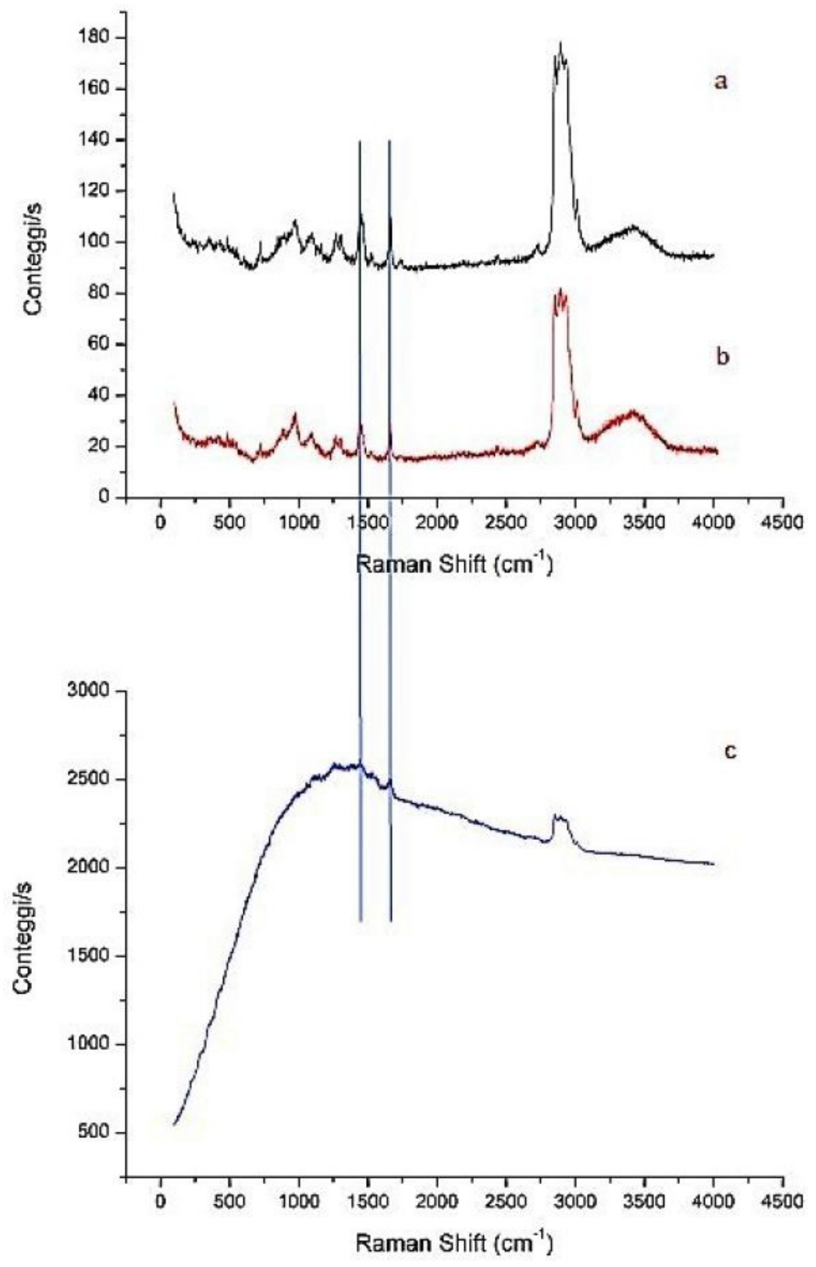 Ijms 19 03833 g007 Ijms 19 03833 g007