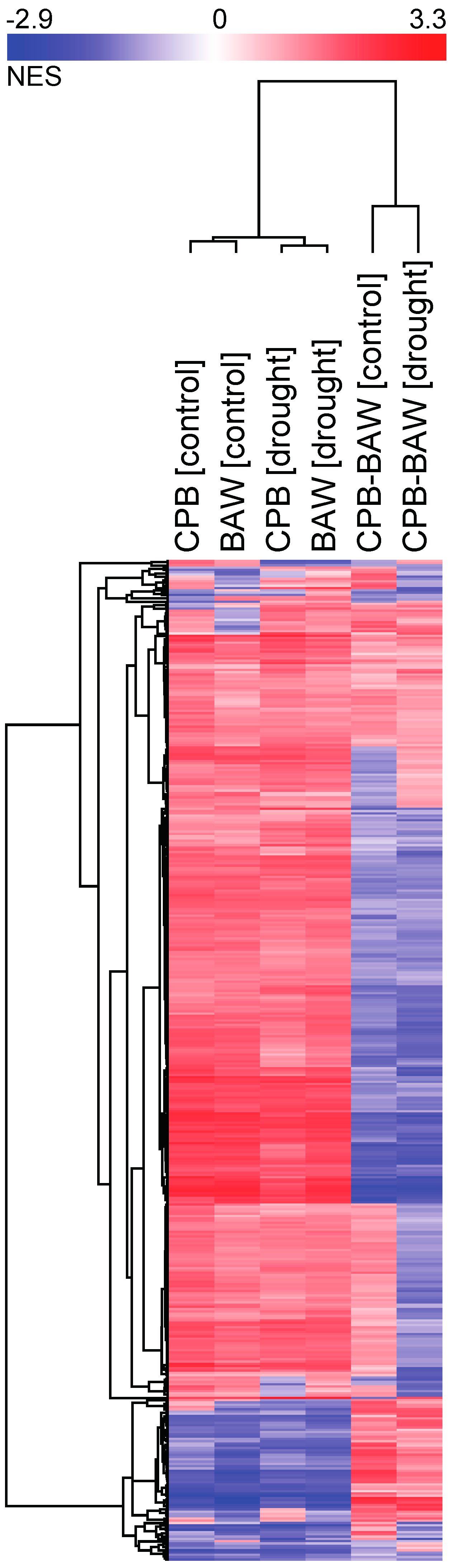 Ijms 19 03845 g005 Ijms 19 03845 g005