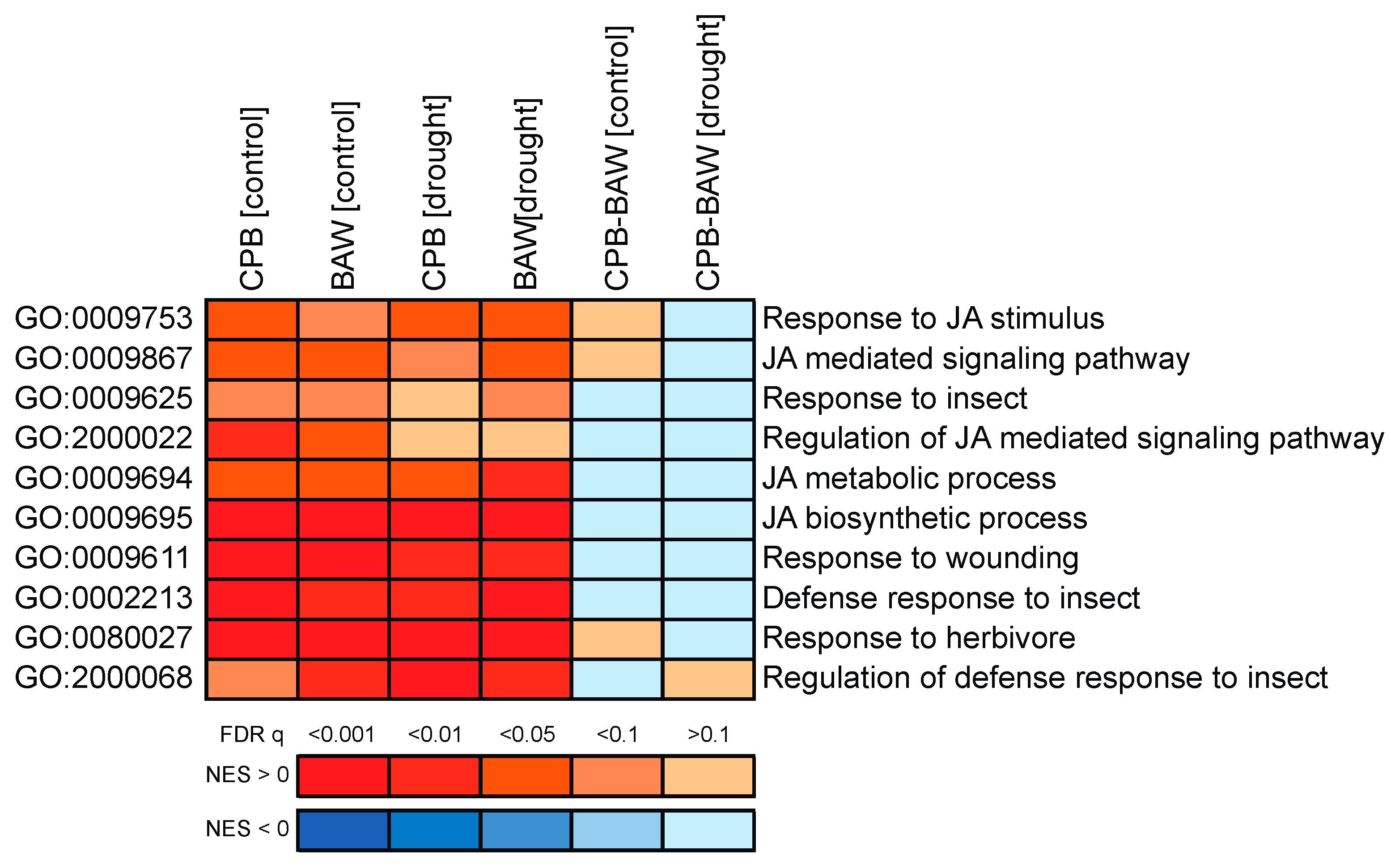 Ijms 19 03845 g006 Ijms 19 03845 g006