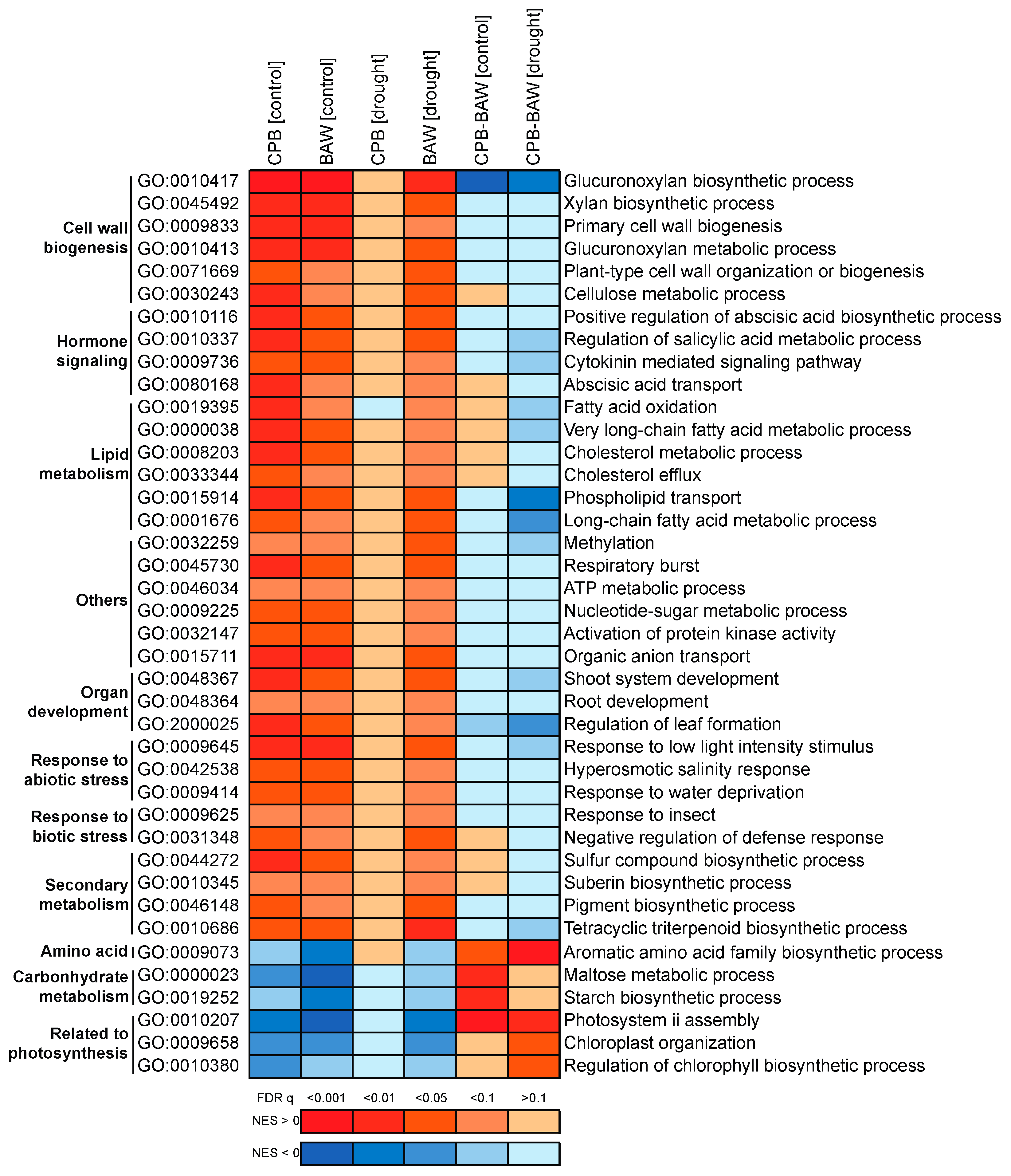 Ijms 19 03845 g009 Ijms 19 03845 g009