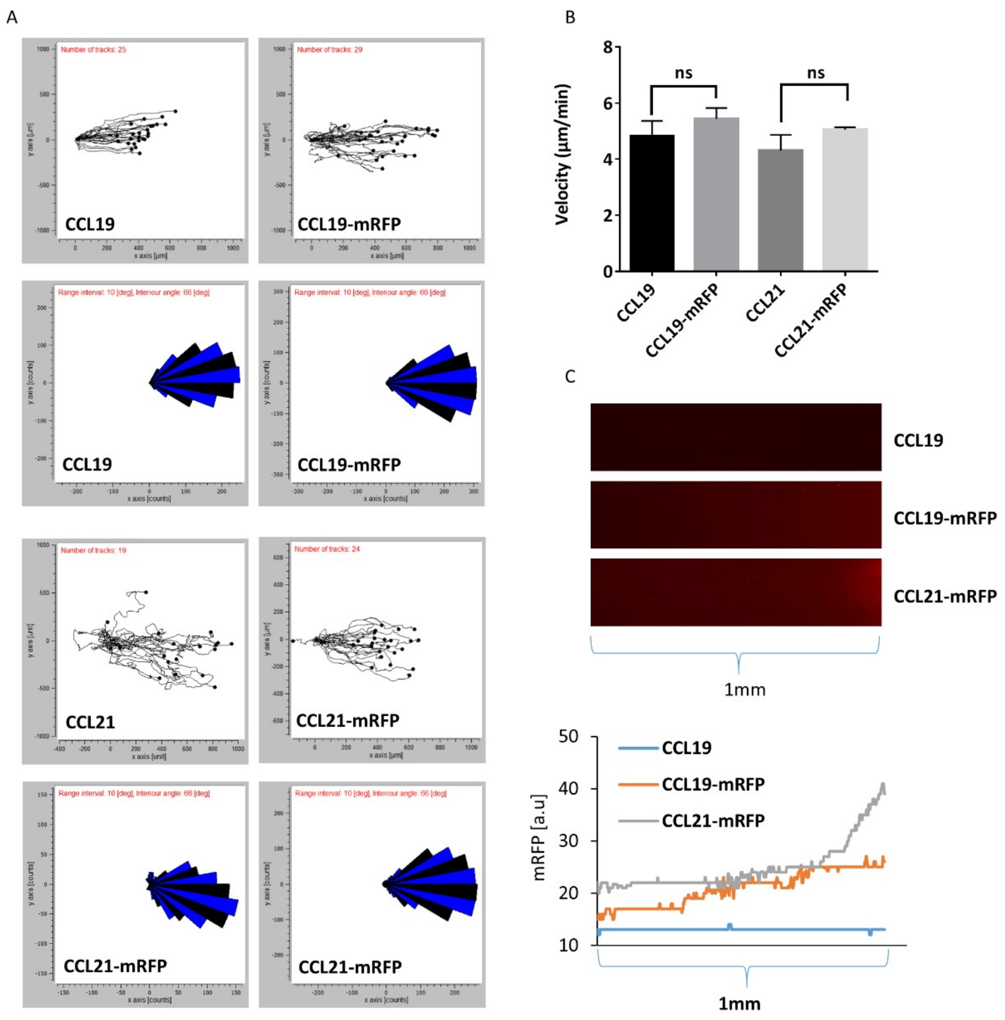 Ijms 19 03876 g005 Ijms 19 03876 g005