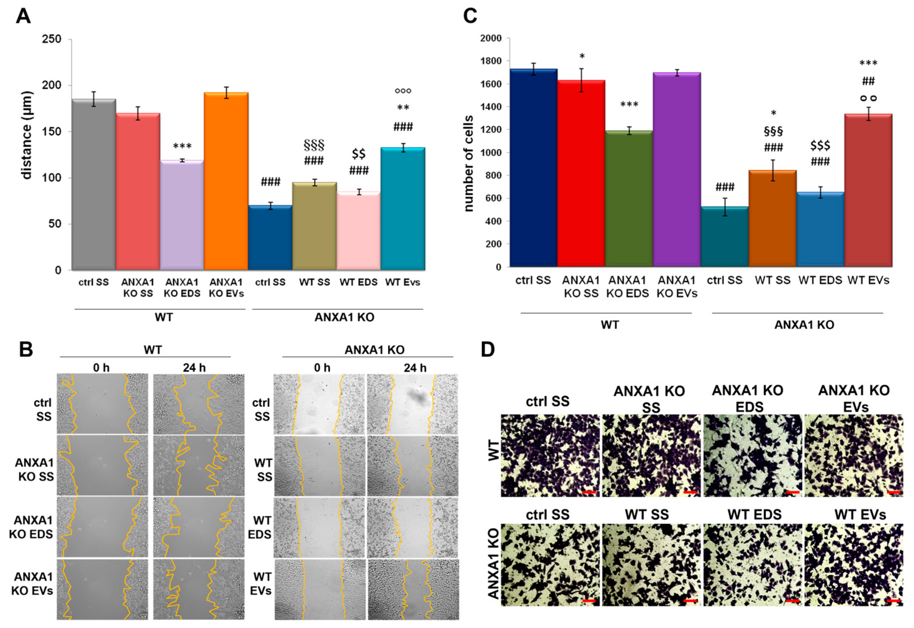 Ijms 19 03878 g002 Ijms 19 03878 g002