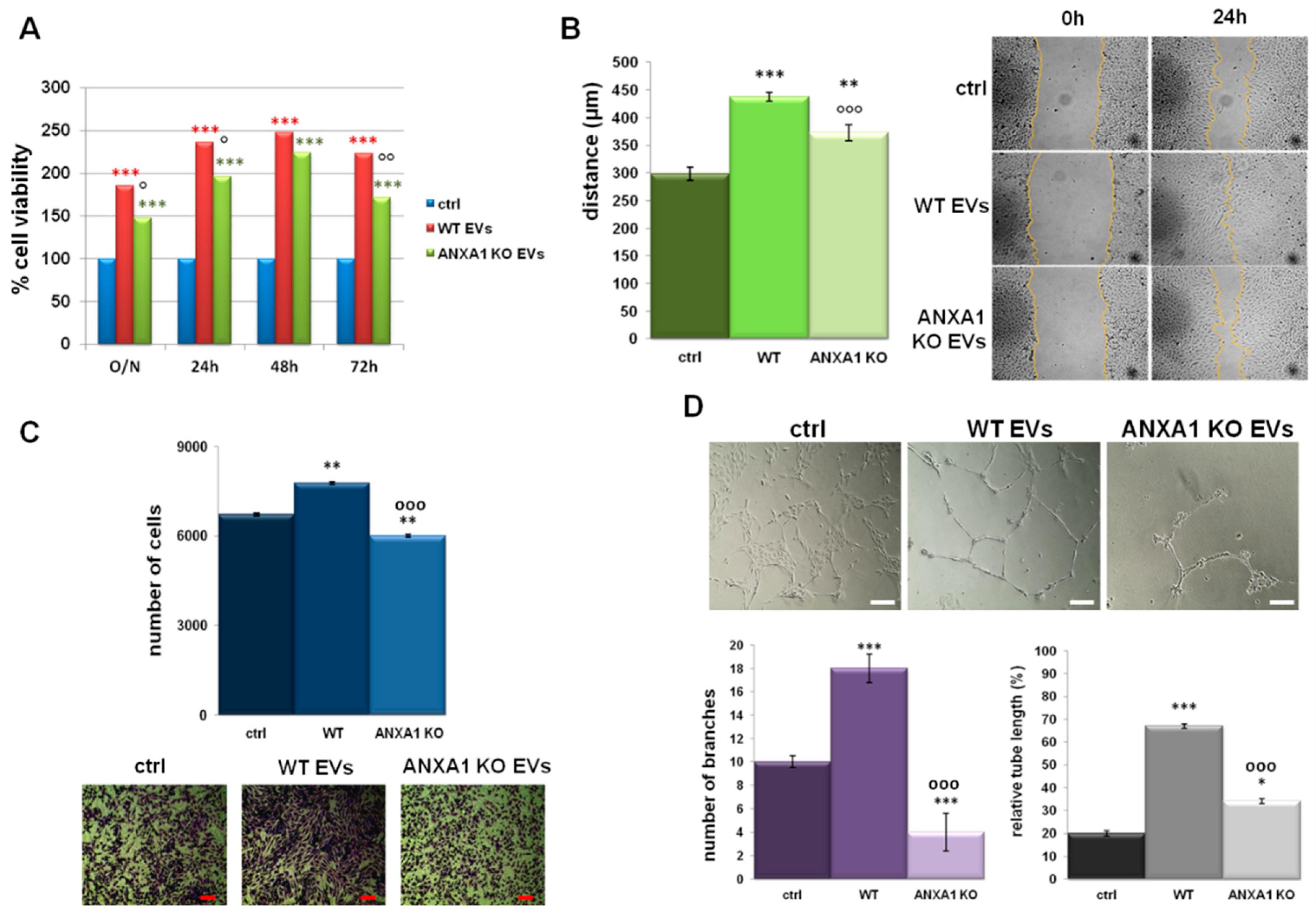 Ijms 19 03878 g004 Ijms 19 03878 g004