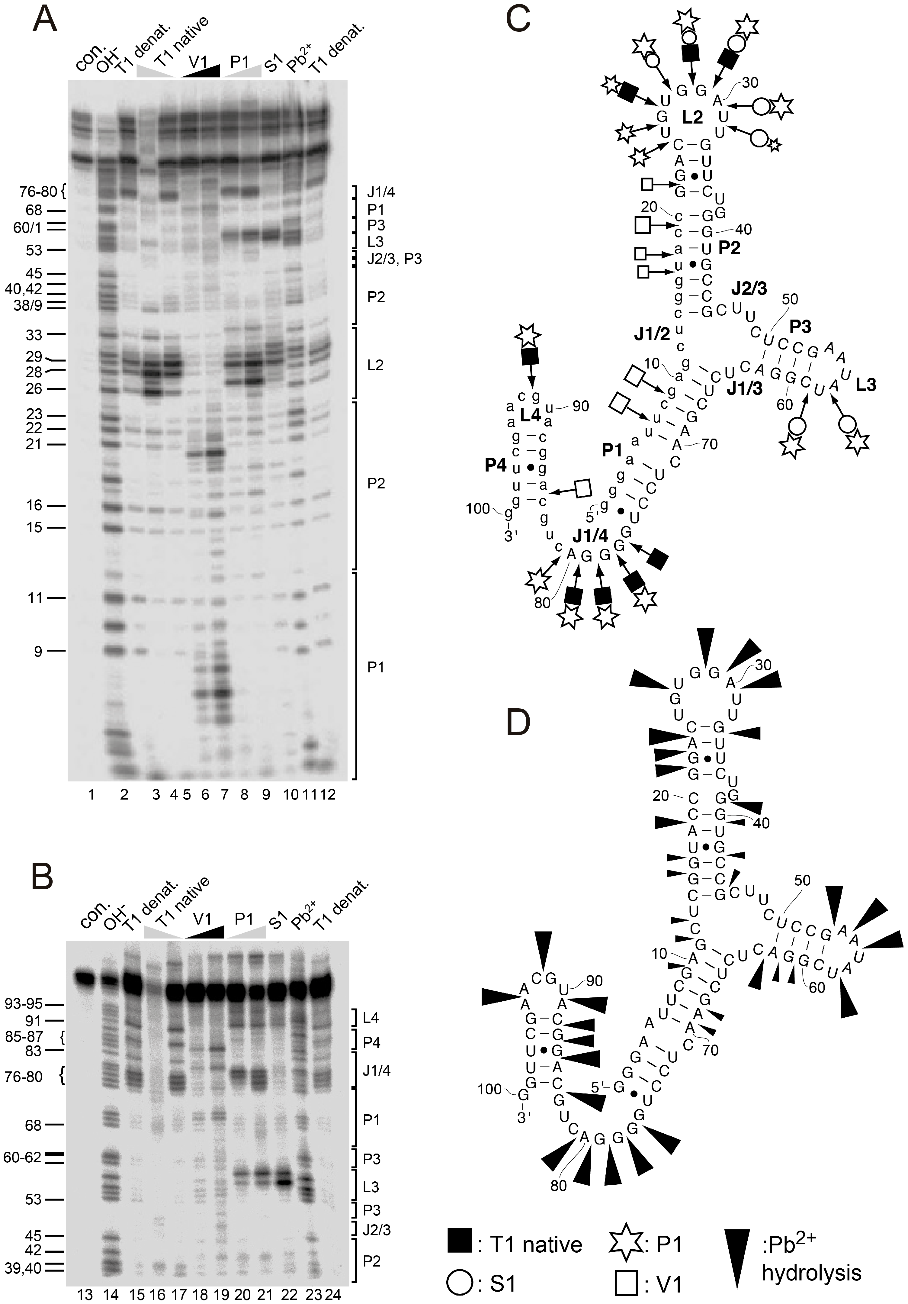 Ijms 19 03883 g003 Ijms 19 03883 g003