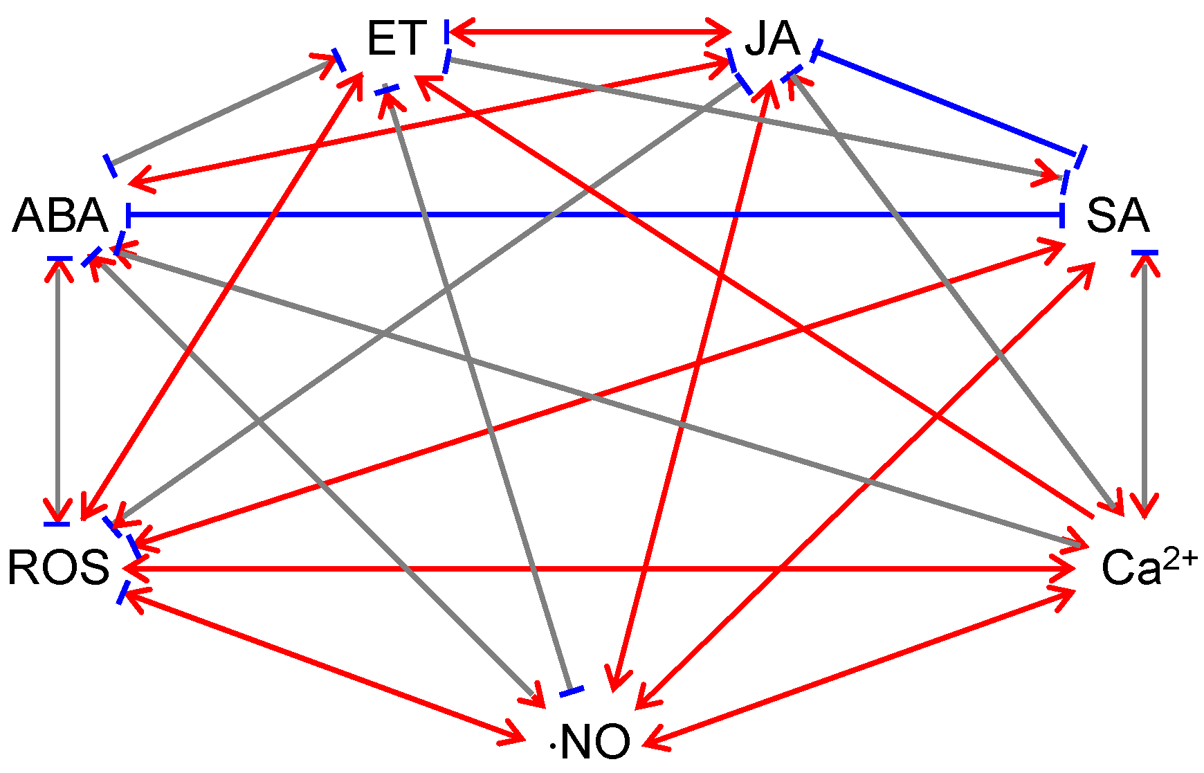 Ijms 19 03900 g001 Ijms 19 03900 g001