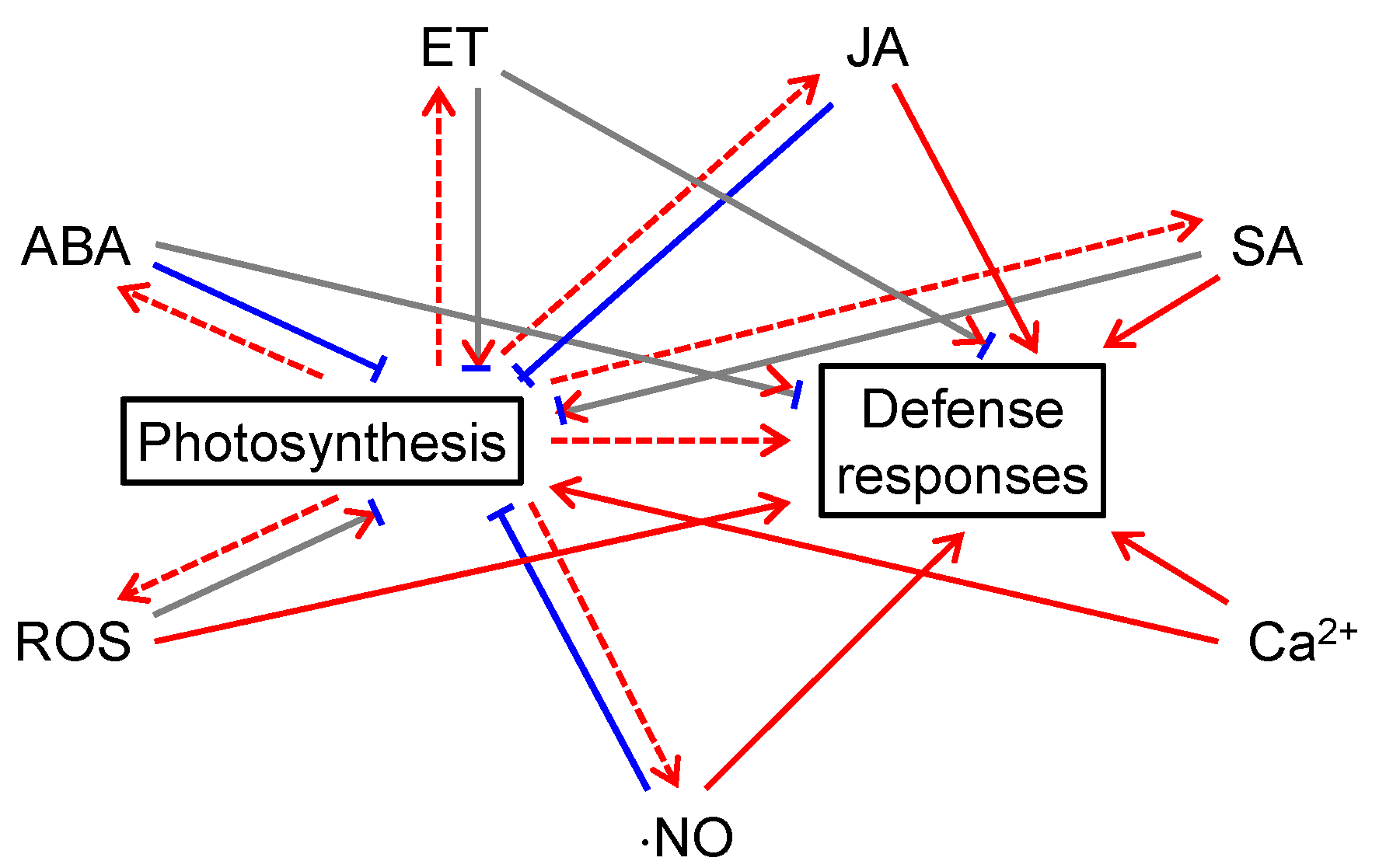Ijms 19 03900 g002 Ijms 19 03900 g002
