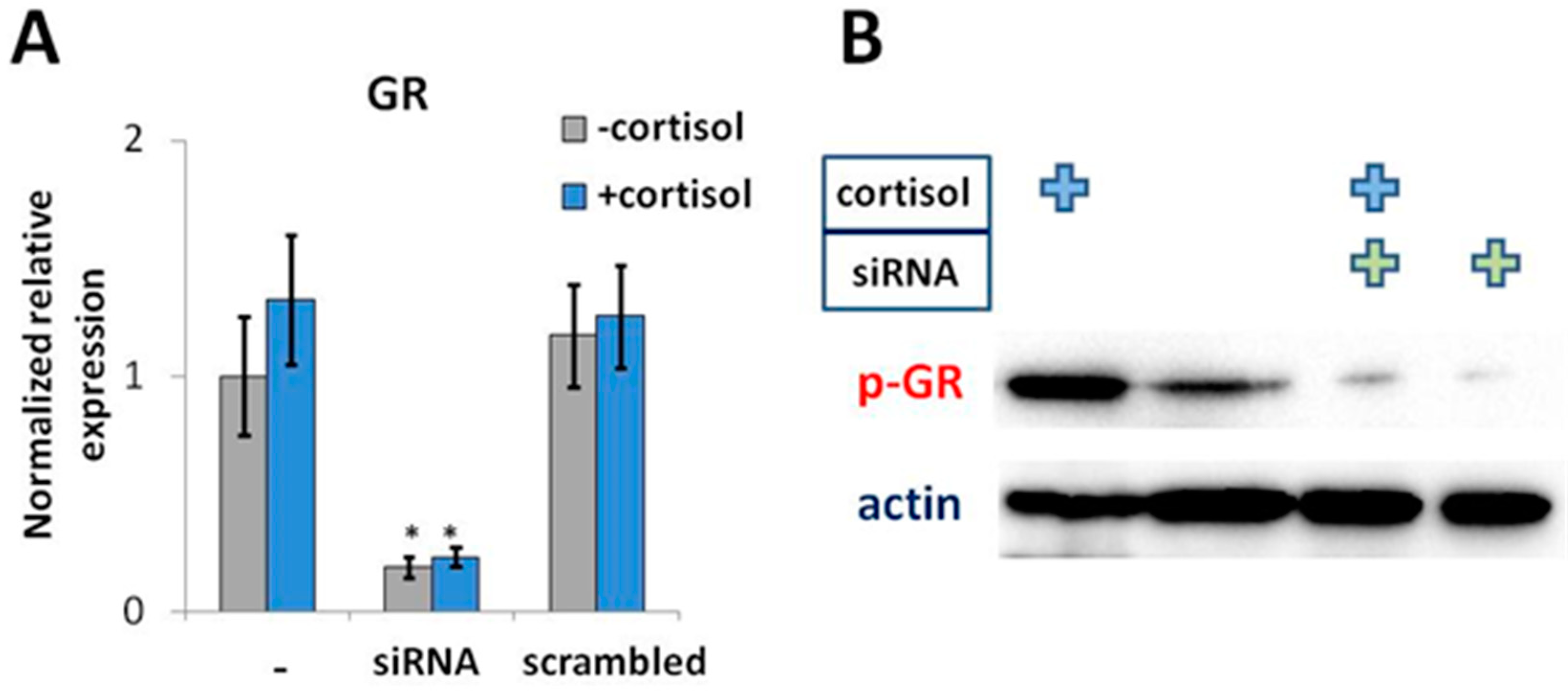 Ijms 19 03956 g002 Ijms 19 03956 g002