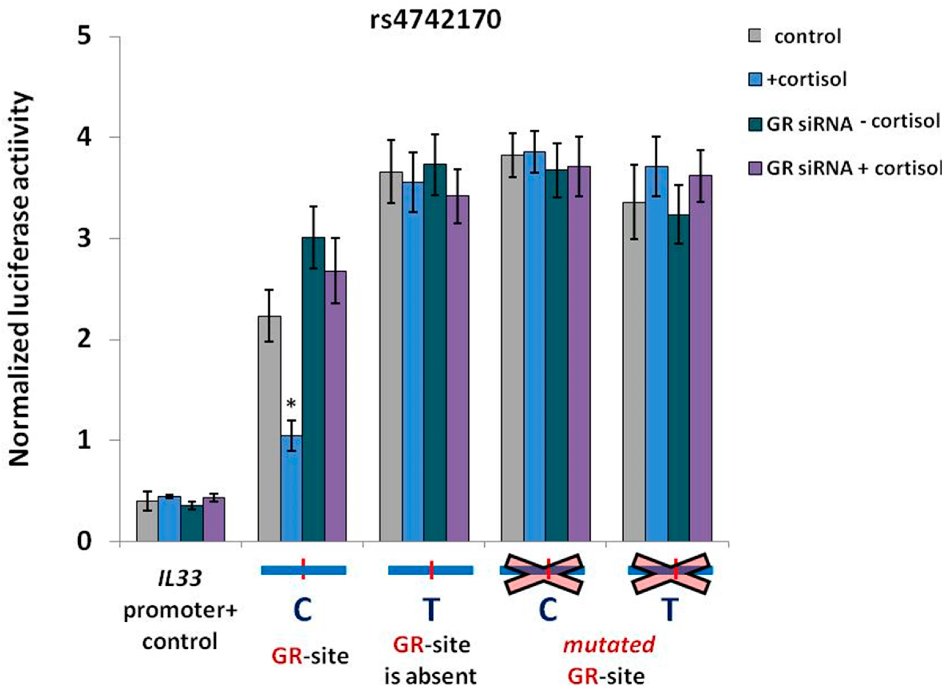 Ijms 19 03956 g004 Ijms 19 03956 g004