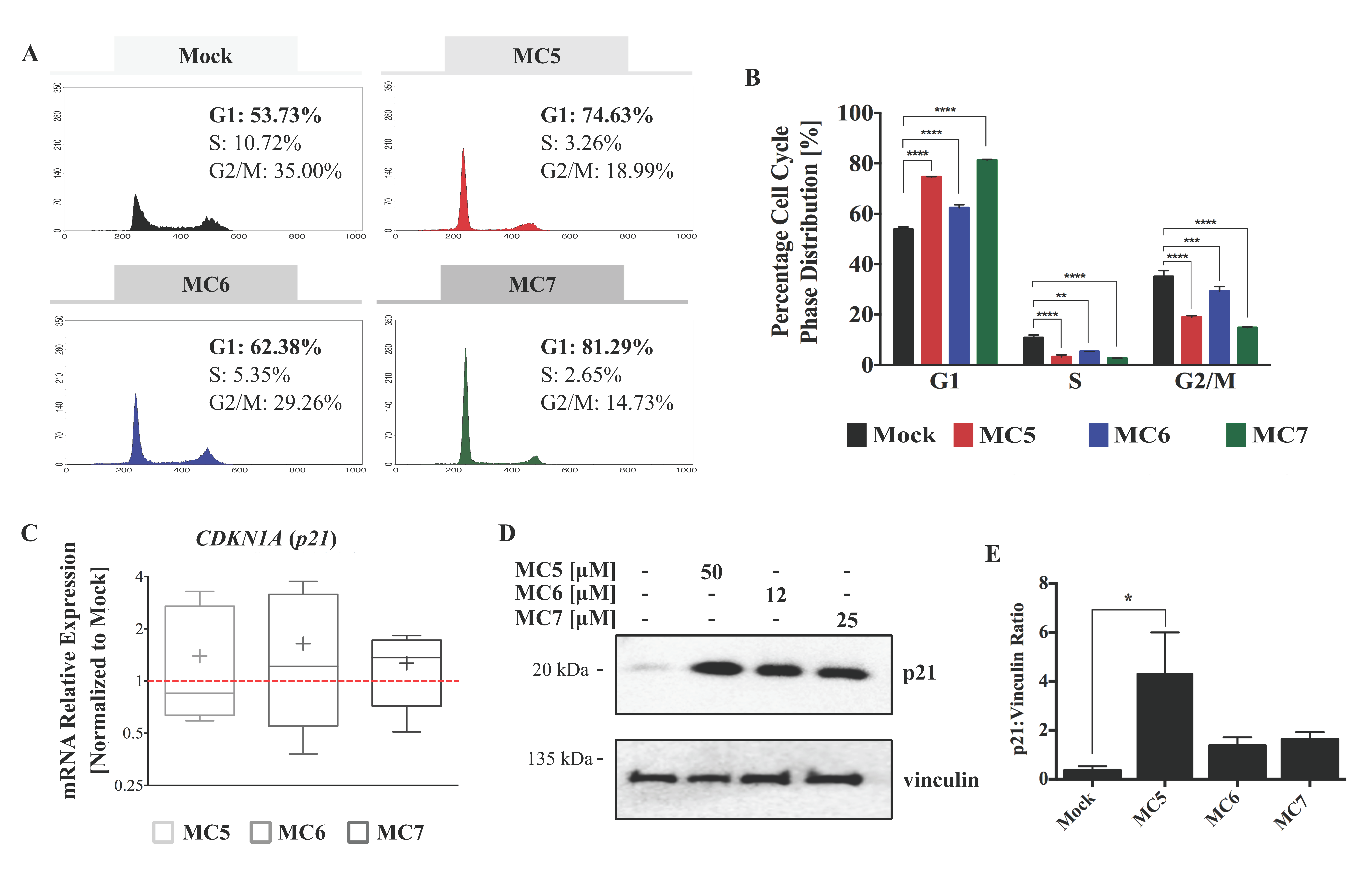 Ijms 19 03964 g002 Ijms 19 03964 g002