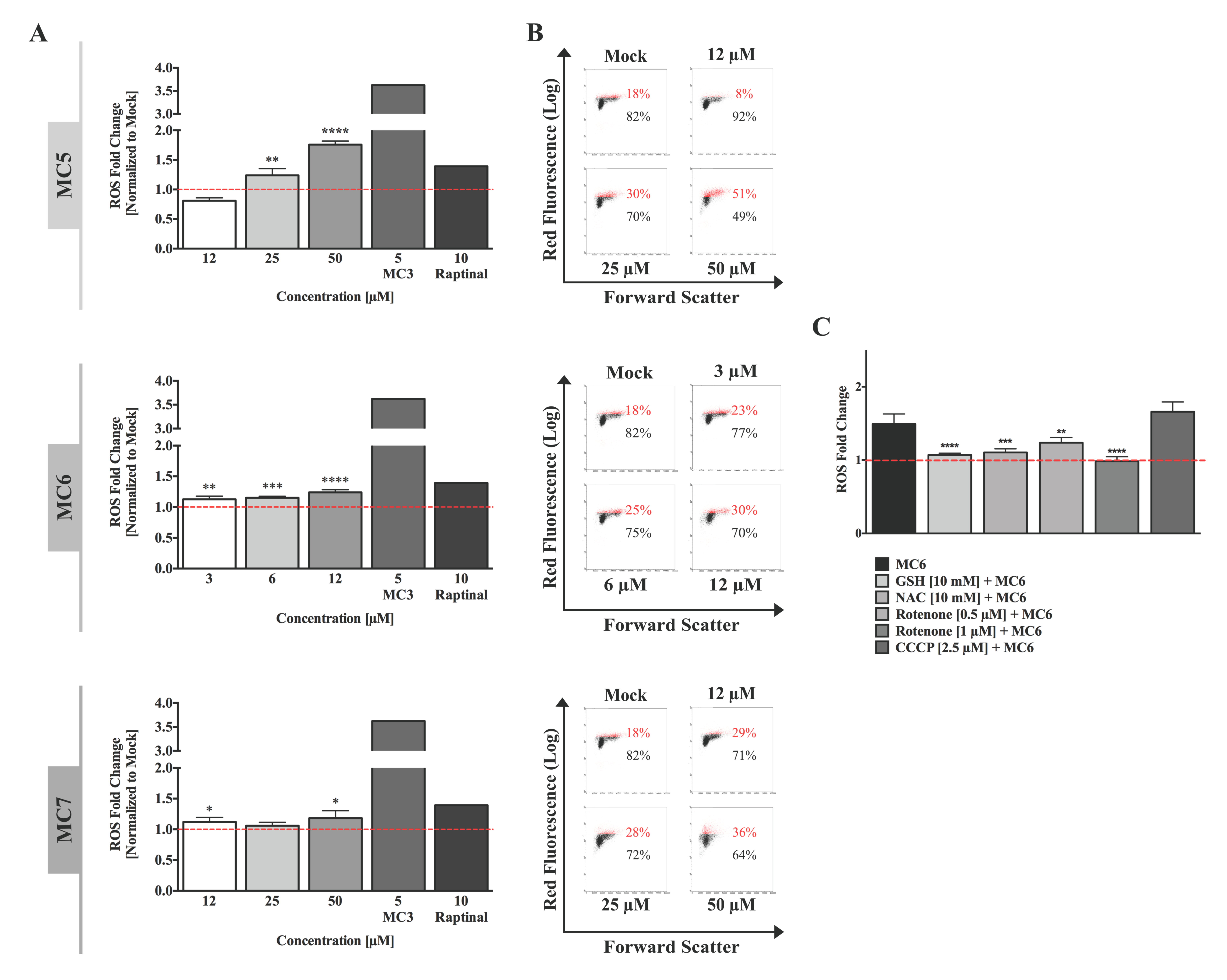 Ijms 19 03964 g003 Ijms 19 03964 g003