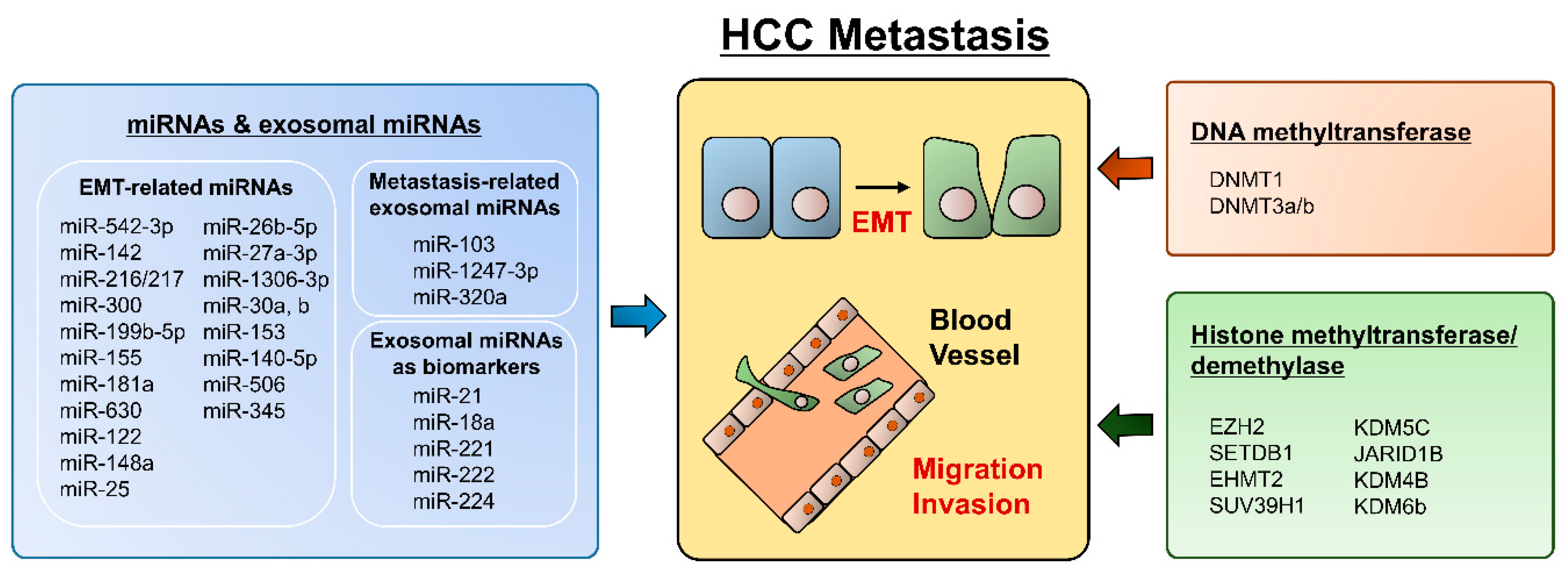 Ijms 19 03978 g001 Ijms 19 03978 g001