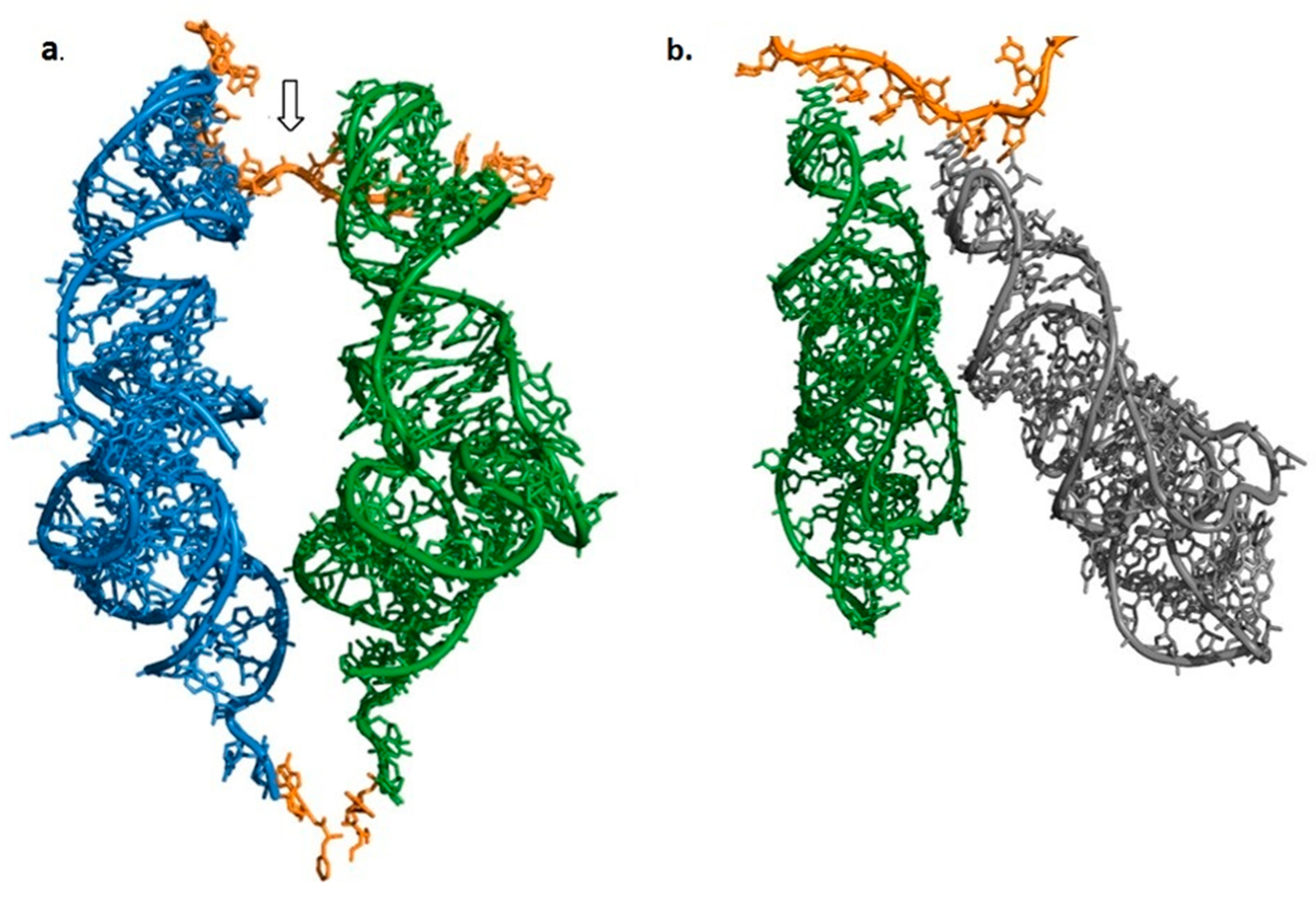 Ijms 19 04021 g002 Ijms 19 04021 g002