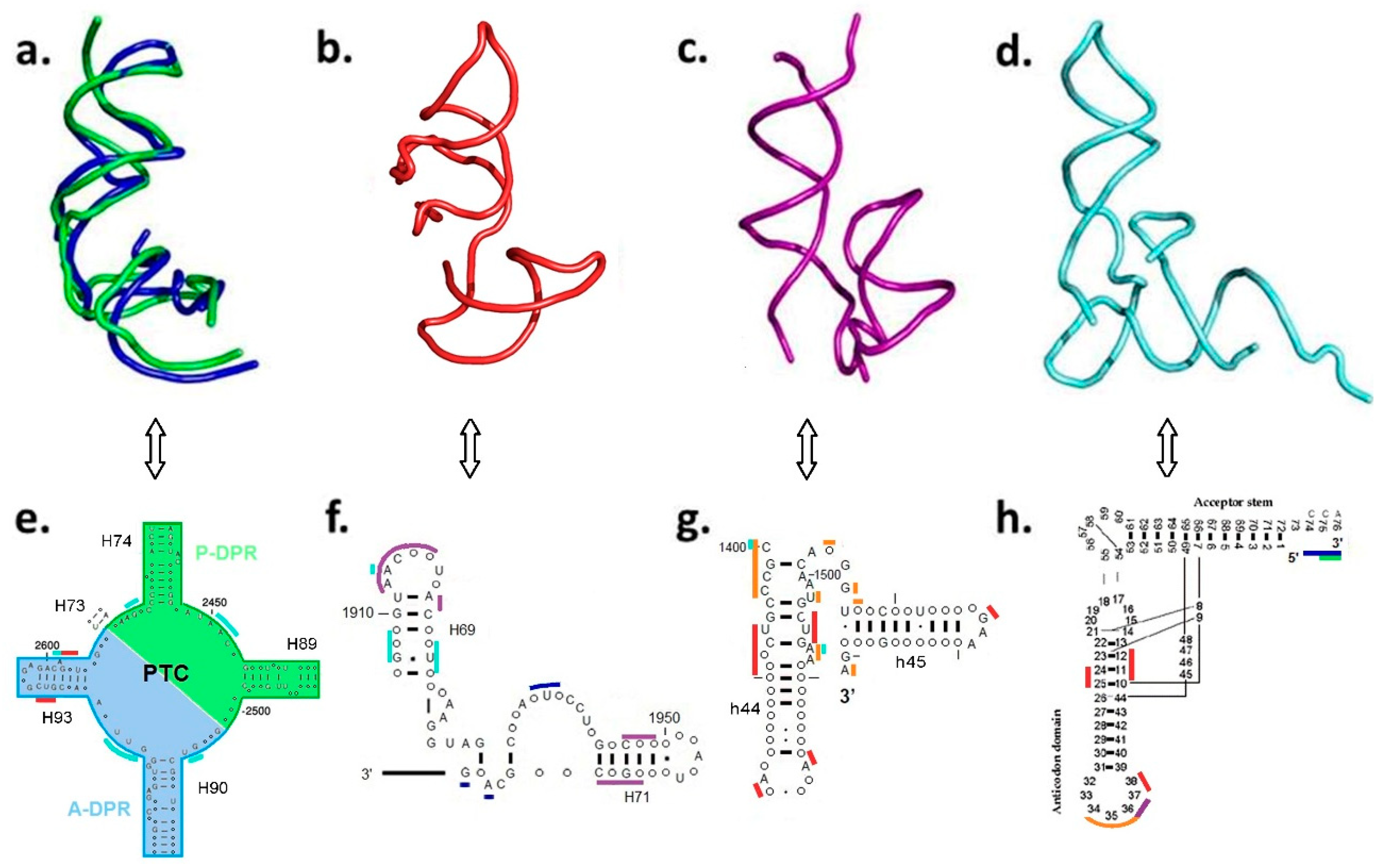 Ijms 19 04021 g003 Ijms 19 04021 g003