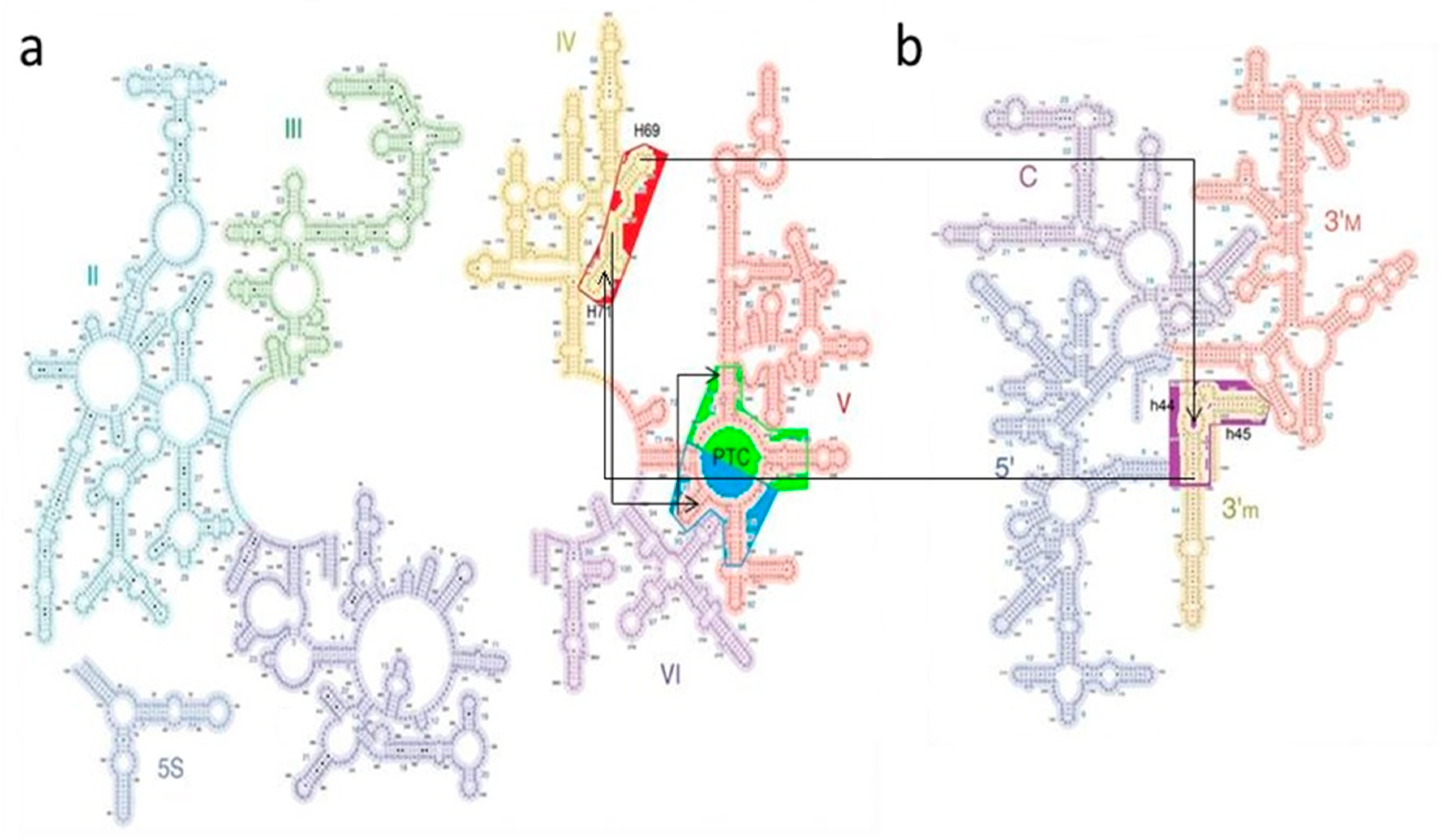Ijms 19 04021 g004 Ijms 19 04021 g004