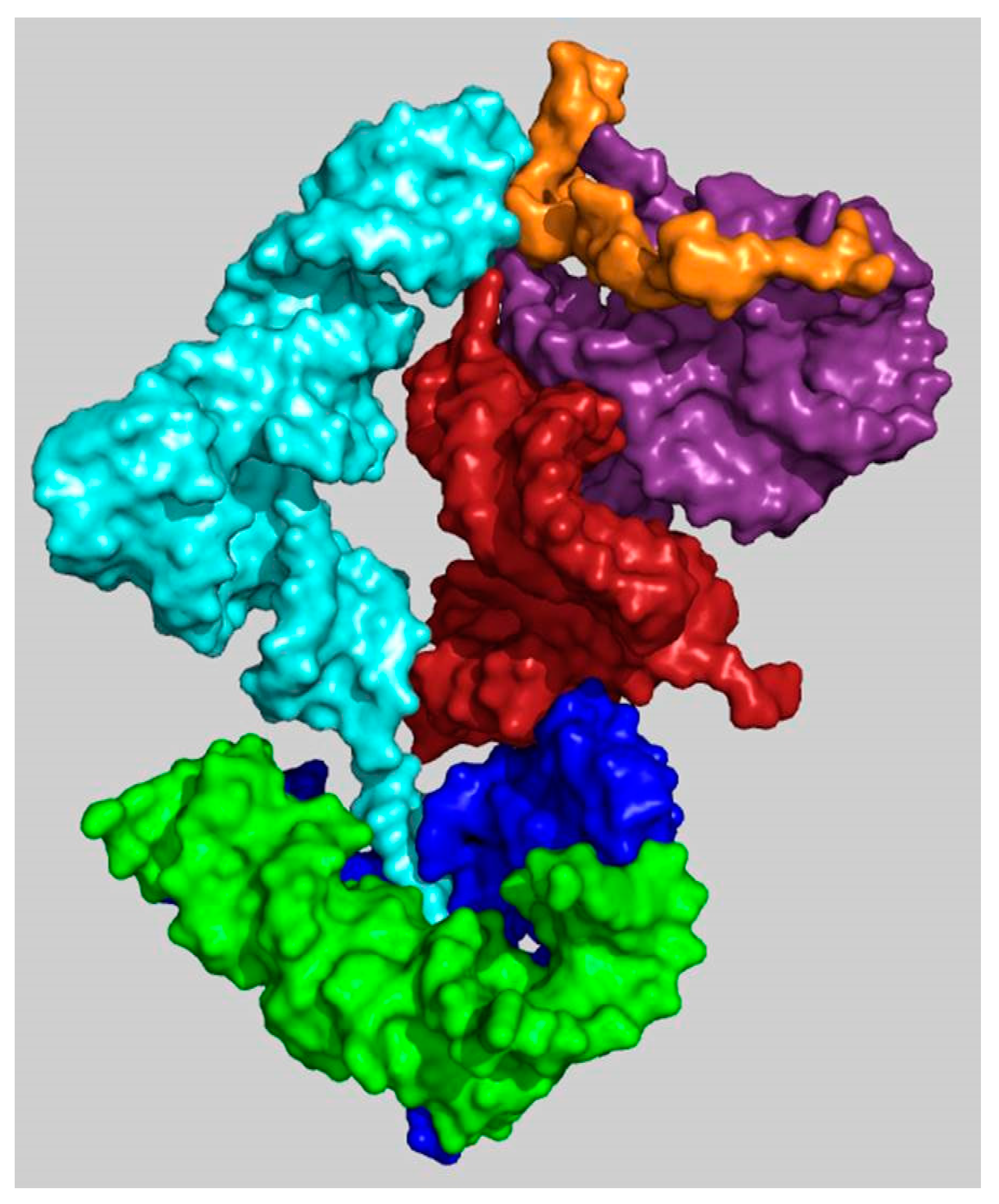 Ijms 19 04021 g005 Ijms 19 04021 g005