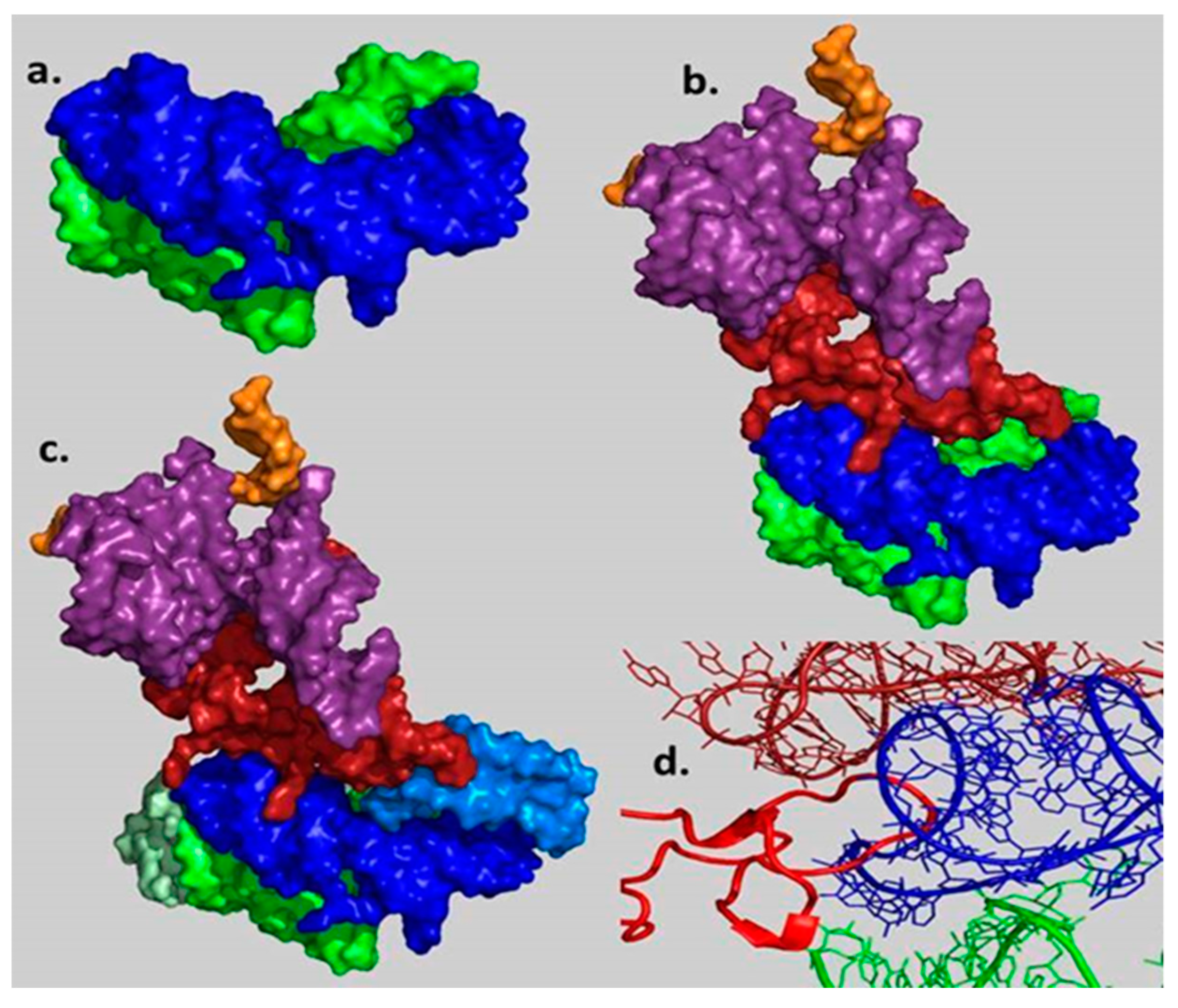 Ijms 19 04021 g006 Ijms 19 04021 g006
