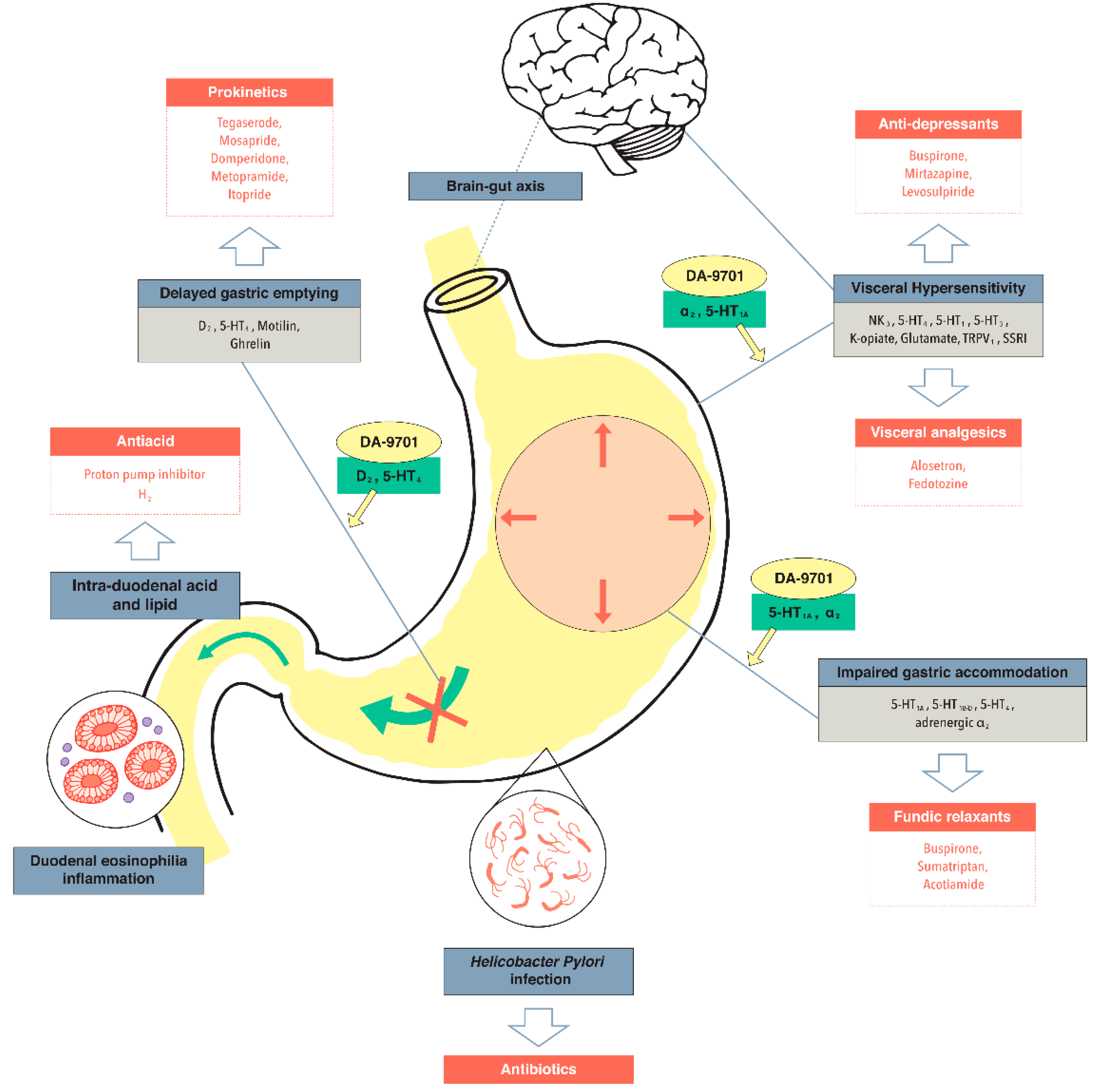 Ijms 19 04035 g001 Ijms 19 04035 g001