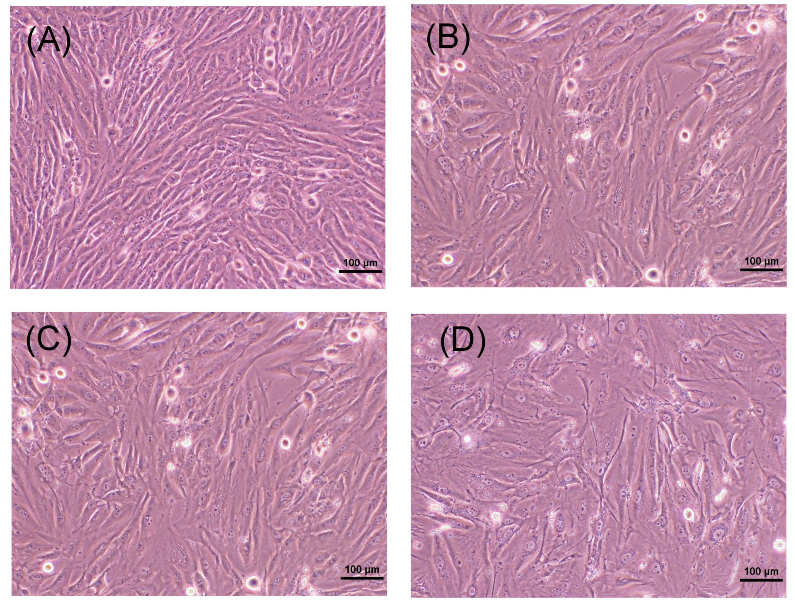 Ijms 19 04071 g002 Ijms 19 04071 g002