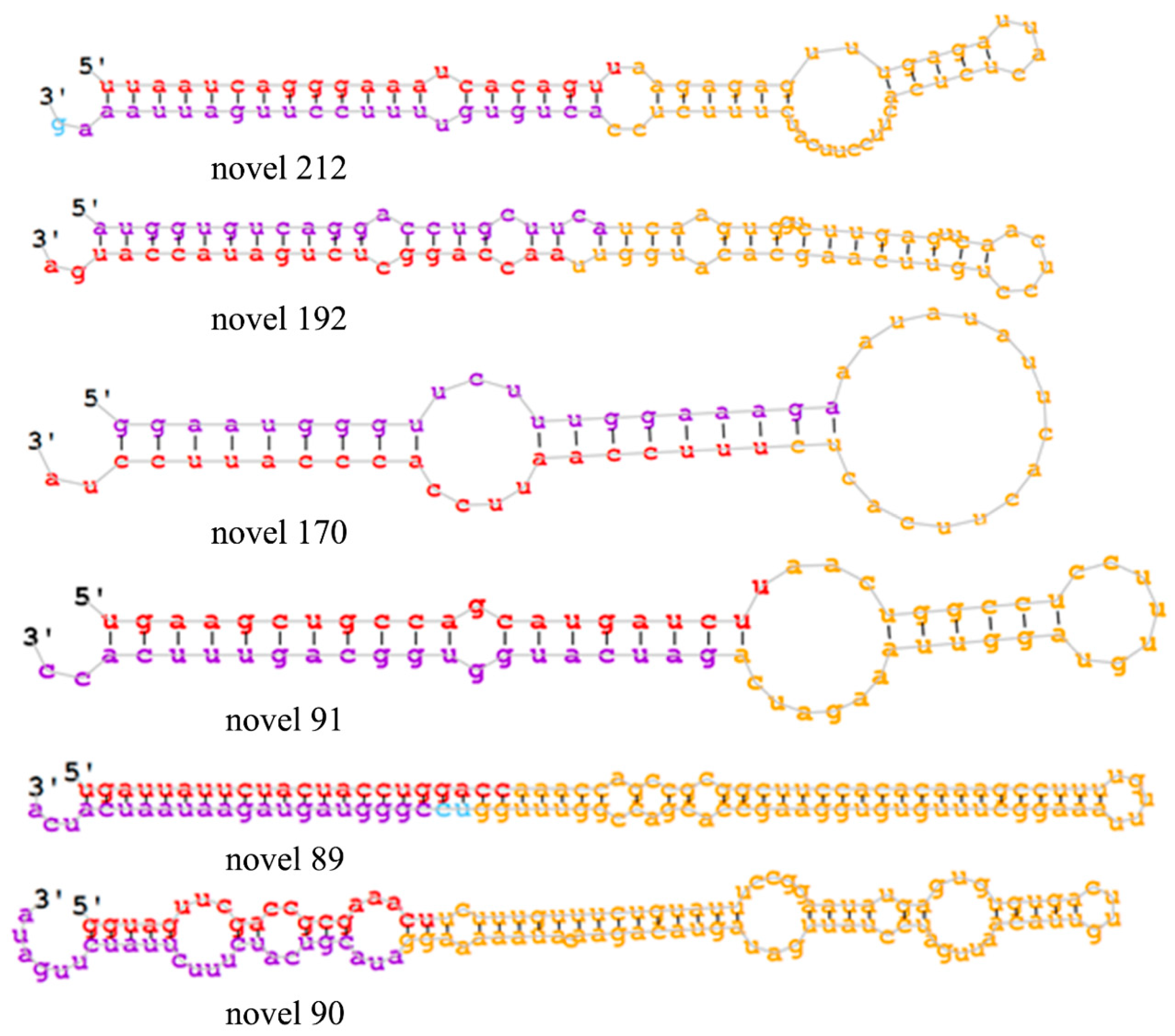 Ijms 19 04076 g003 Ijms 19 04076 g003