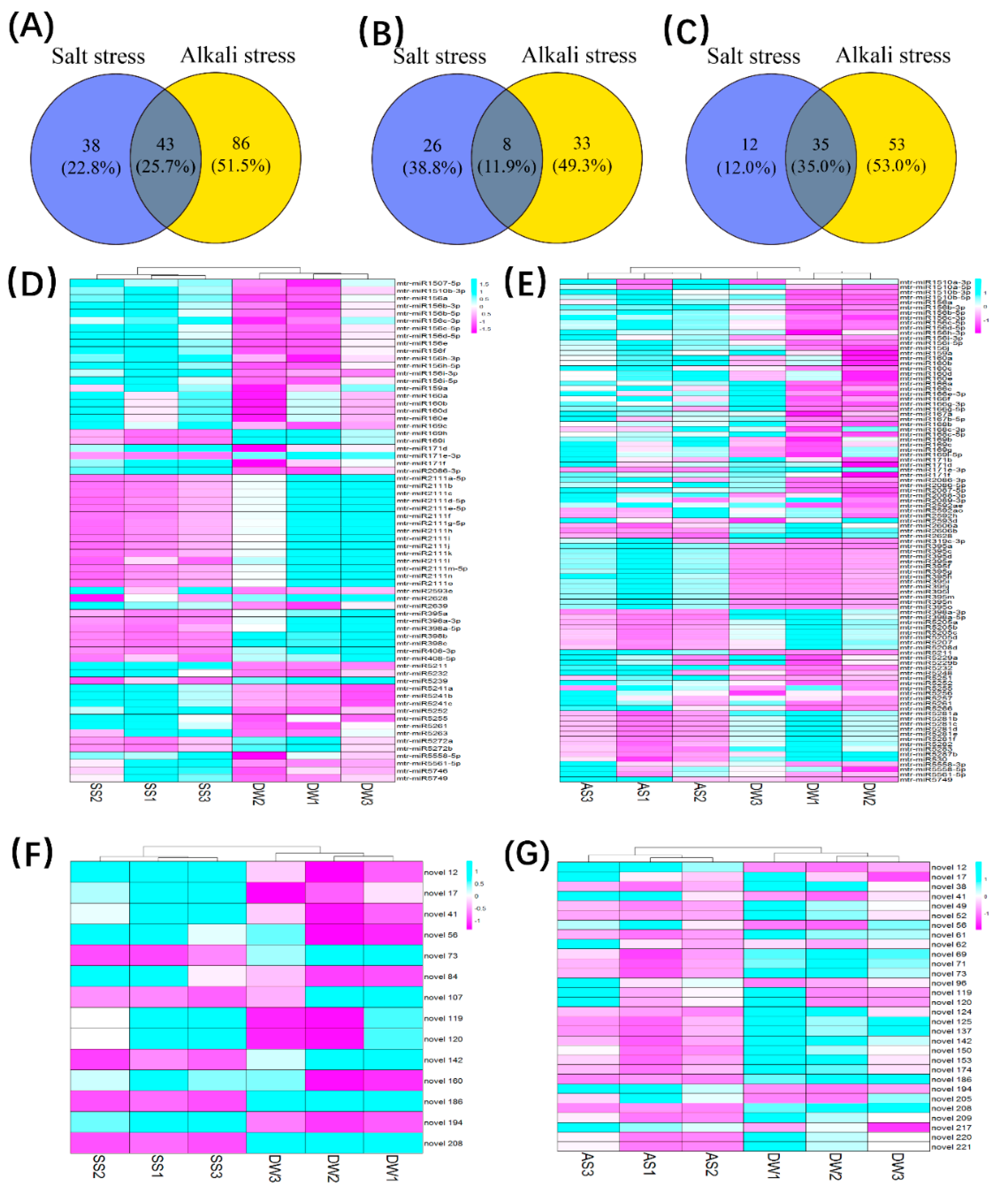 Ijms 19 04076 g004 Ijms 19 04076 g004