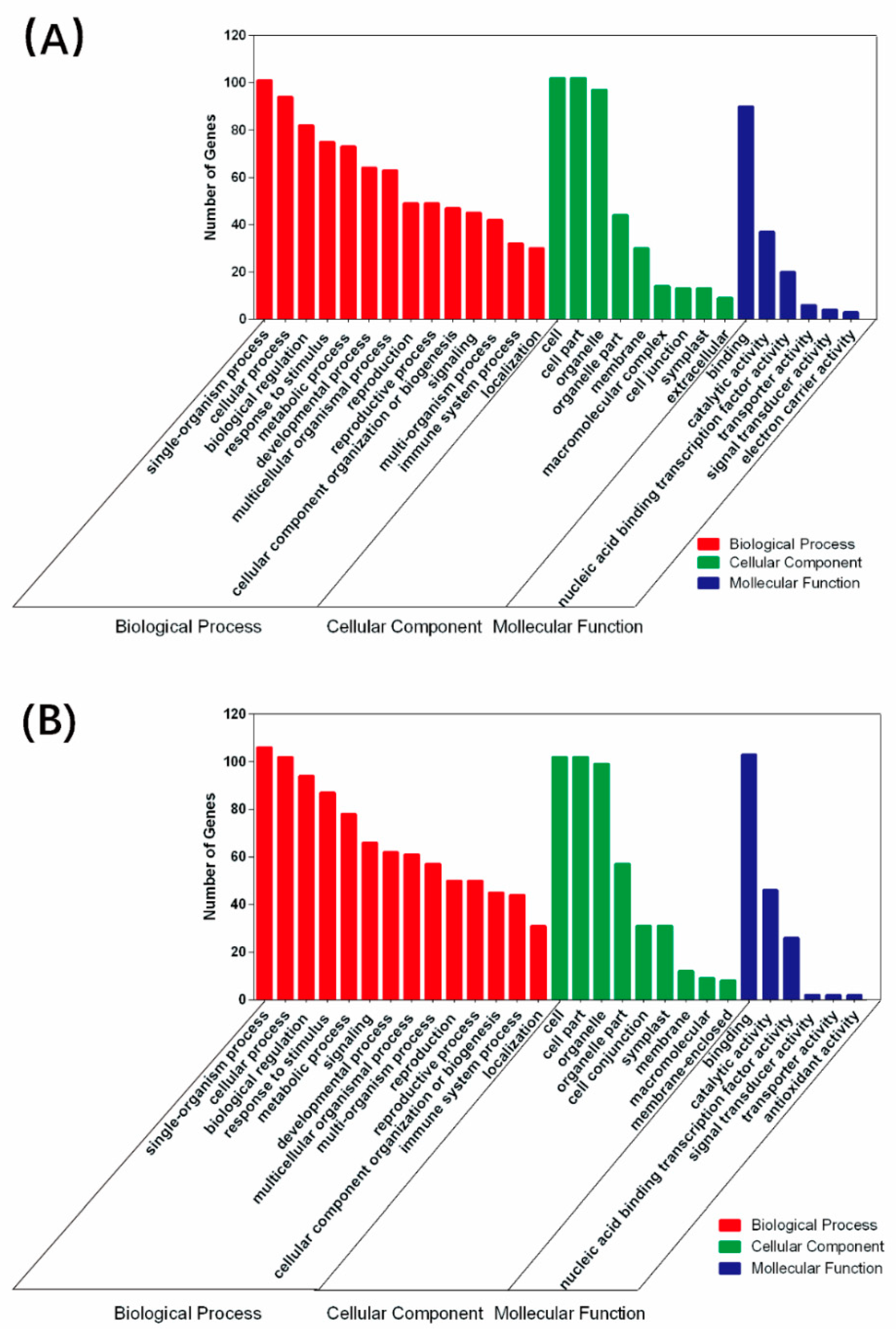 Ijms 19 04076 g005 Ijms 19 04076 g005