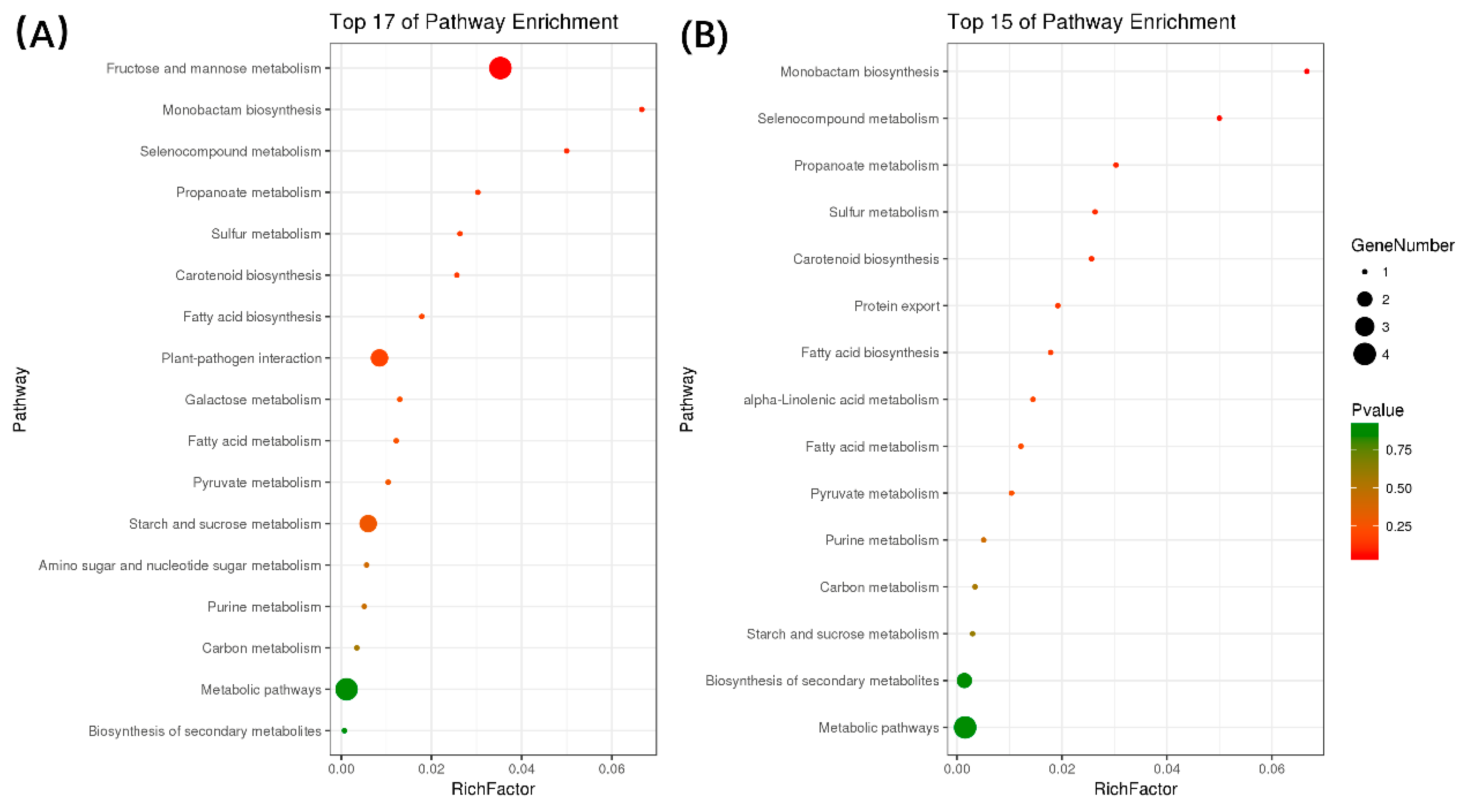 Ijms 19 04076 g006 Ijms 19 04076 g006