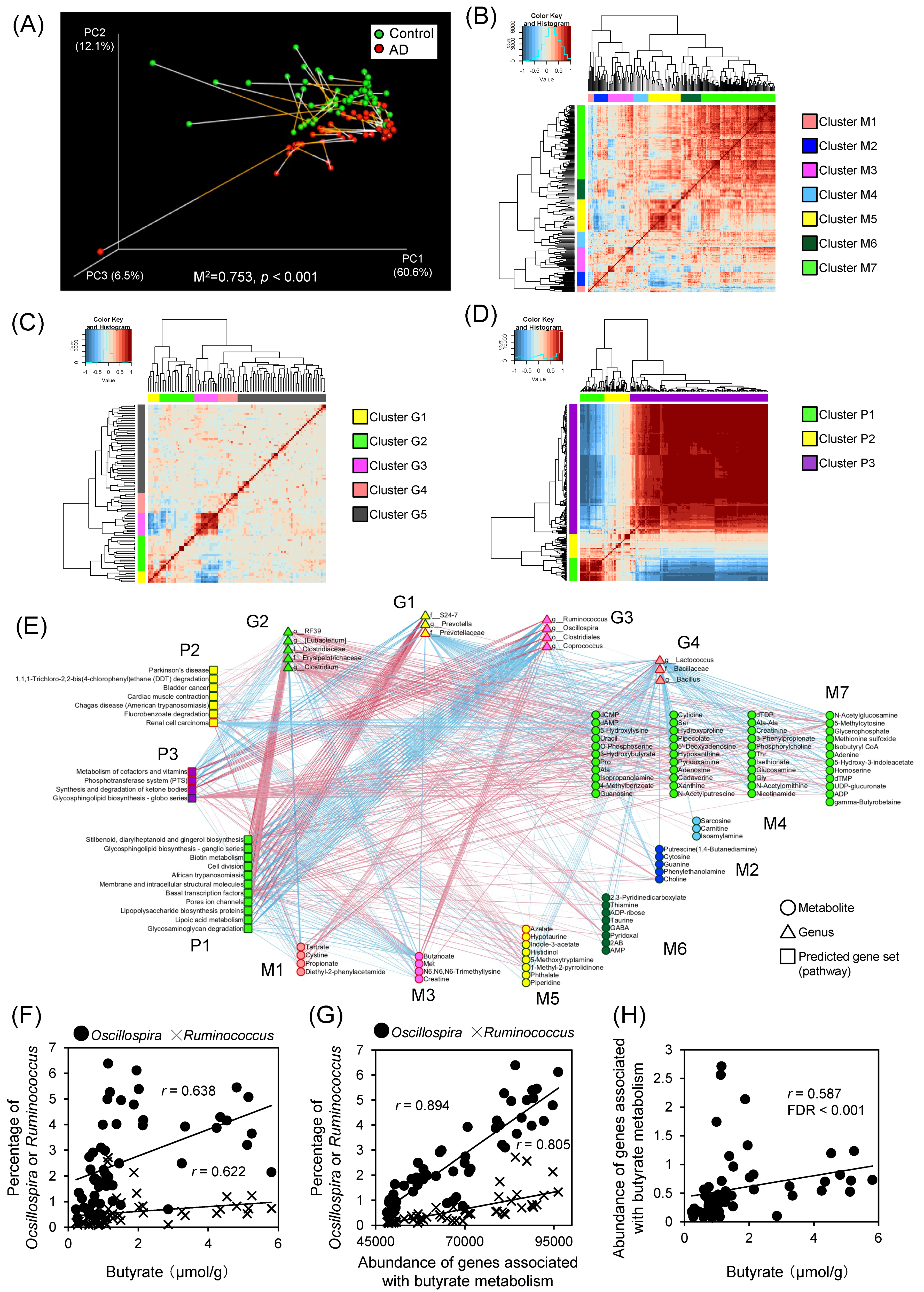 Ijms 19 04079 g004 Ijms 19 04079 g004