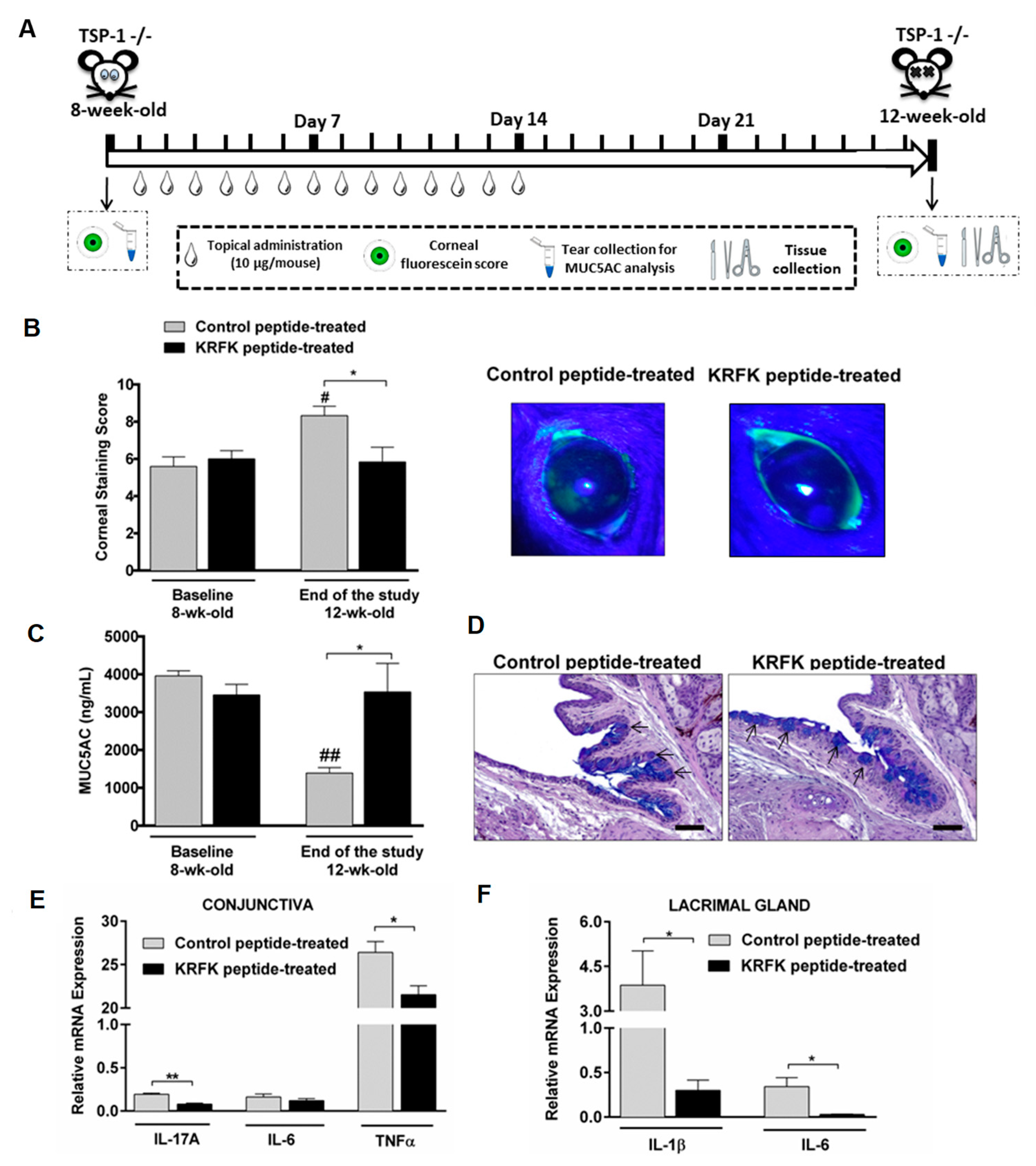 Ijms 20 00009 g004 Ijms 20 00009 g004