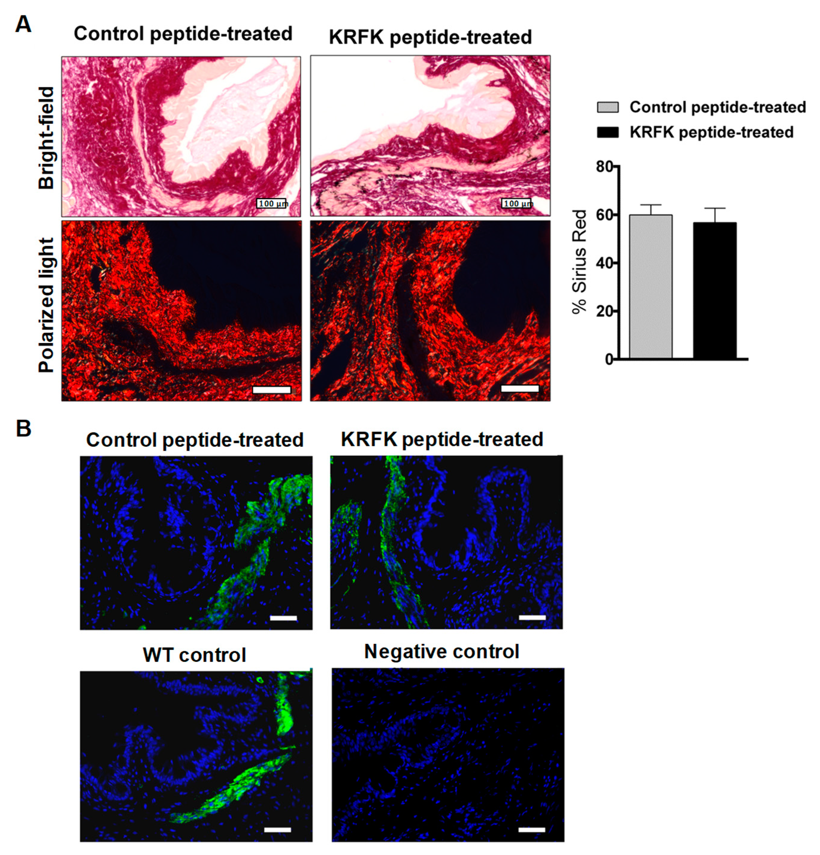Ijms 20 00009 g005 Ijms 20 00009 g005