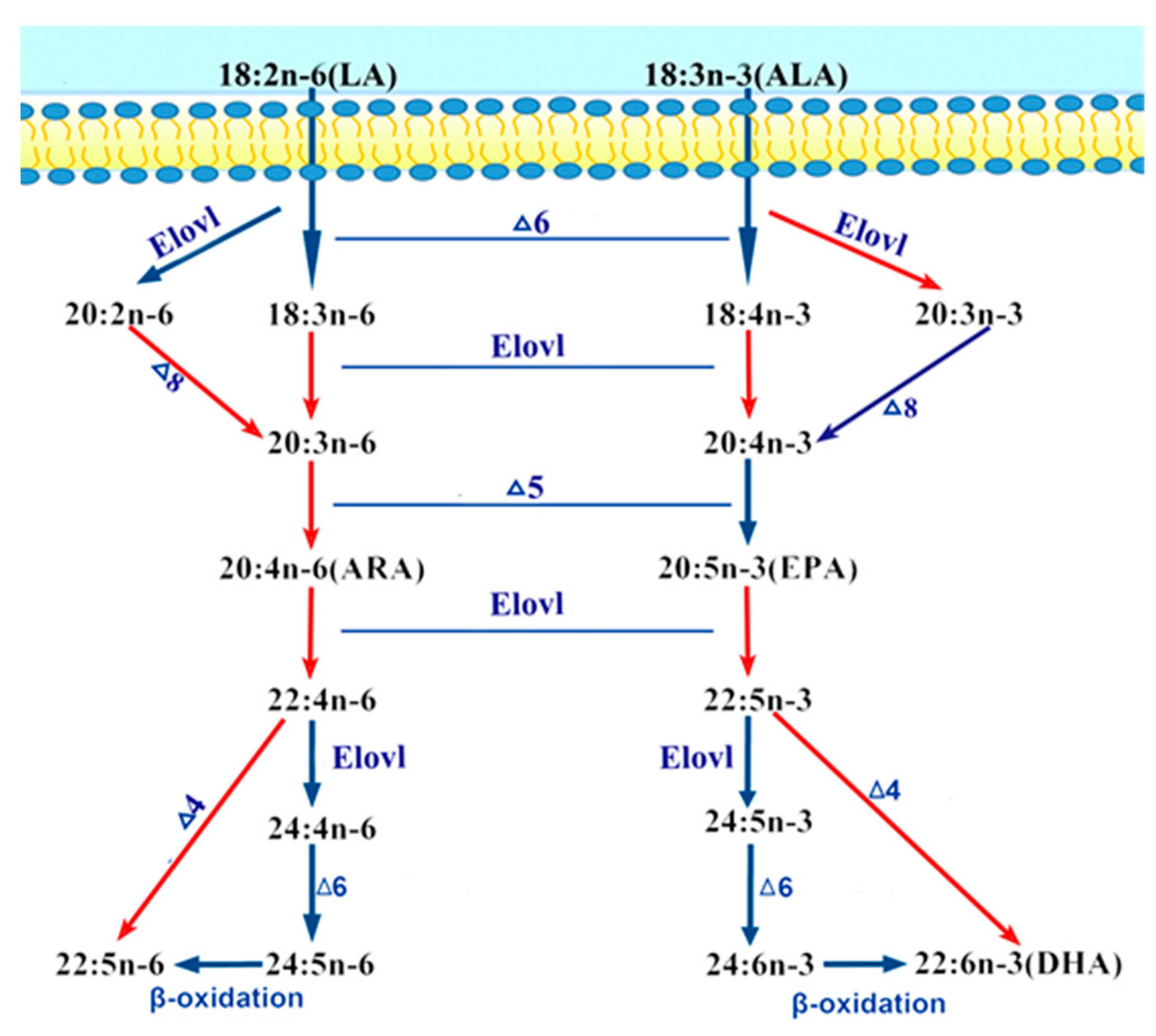 Ijms 20 00023 g009