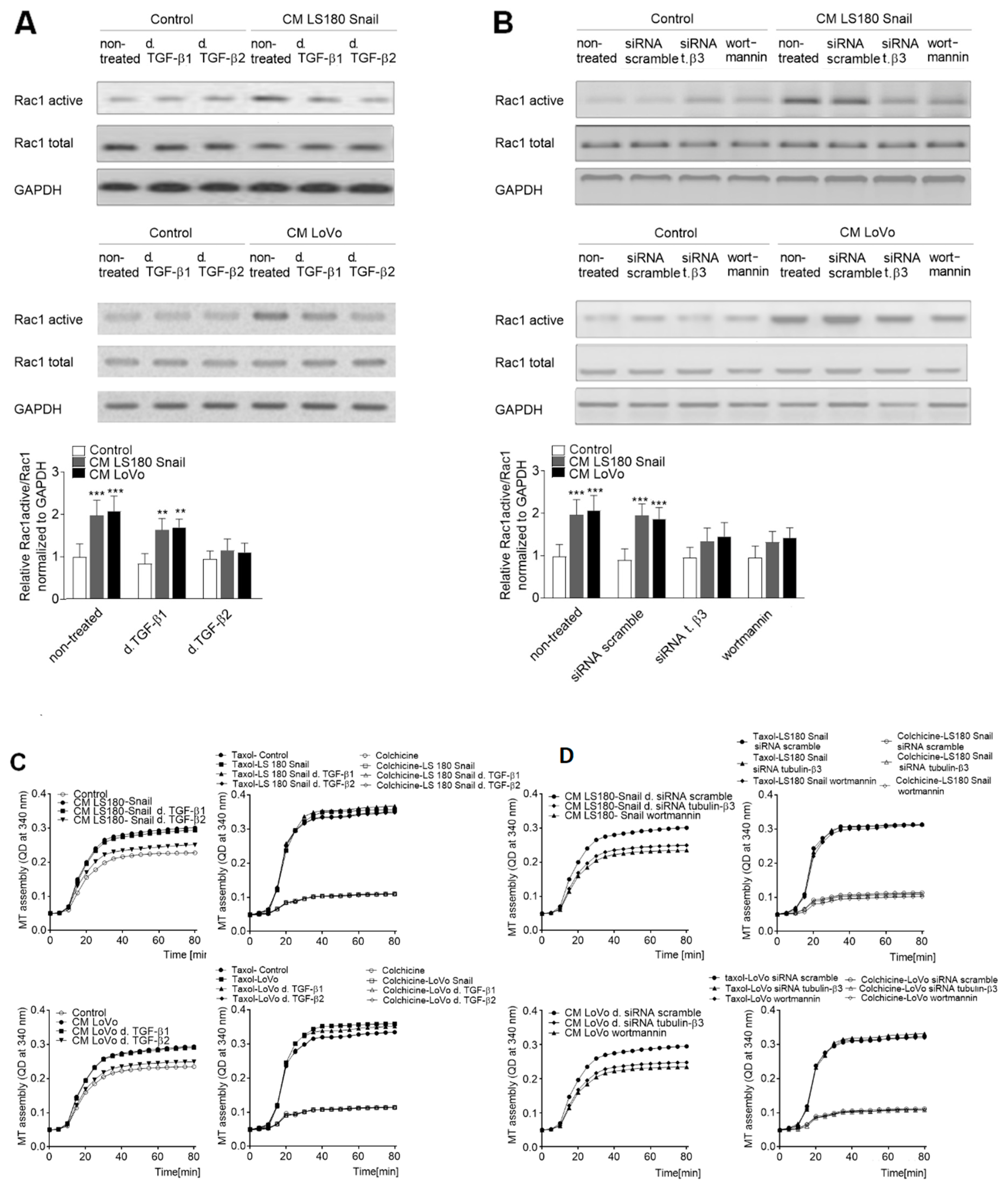 Ijms 20 00053 g005a Ijms 20 00053 g005a