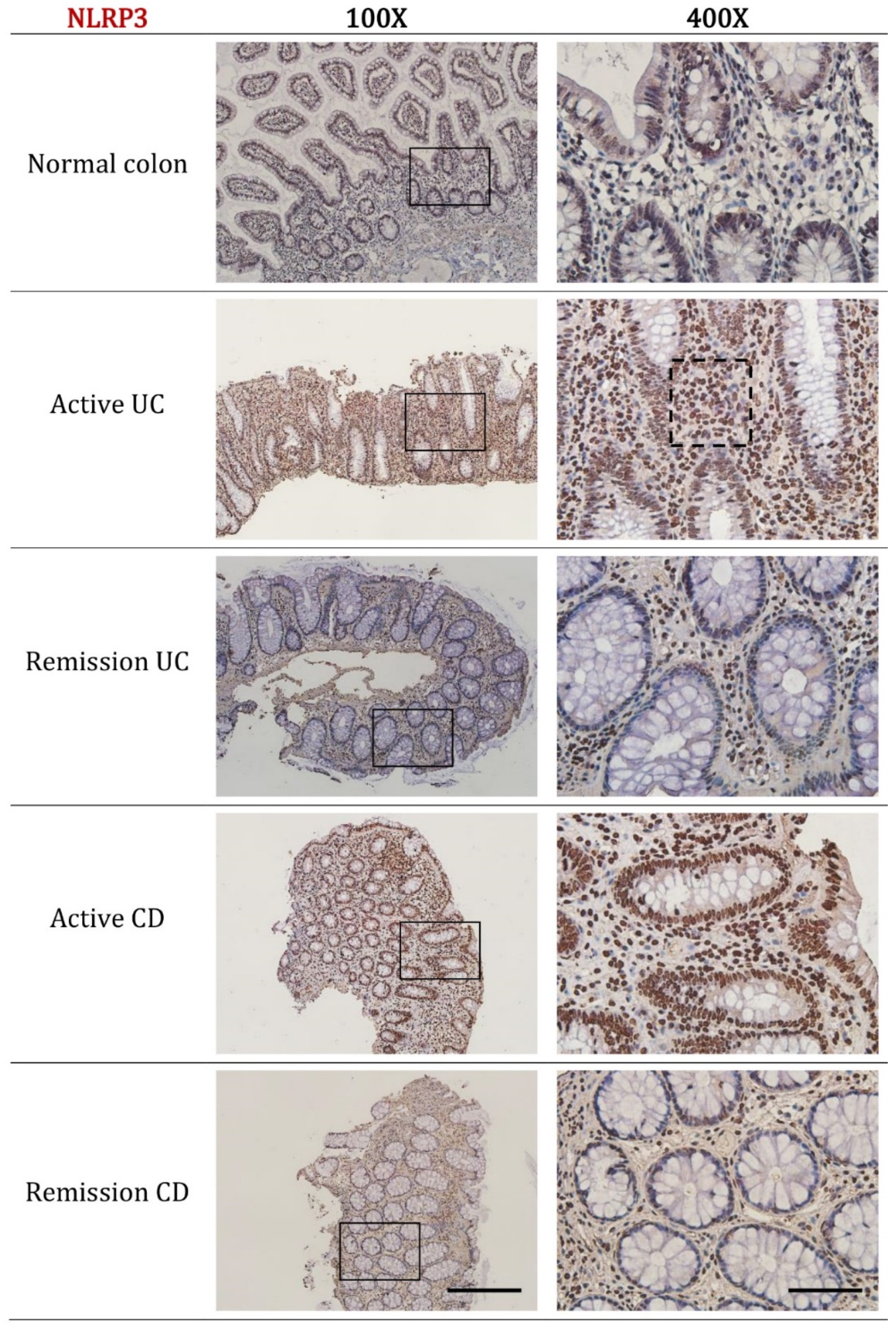 Ijms 20 00057 g002 Ijms 20 00057 g002